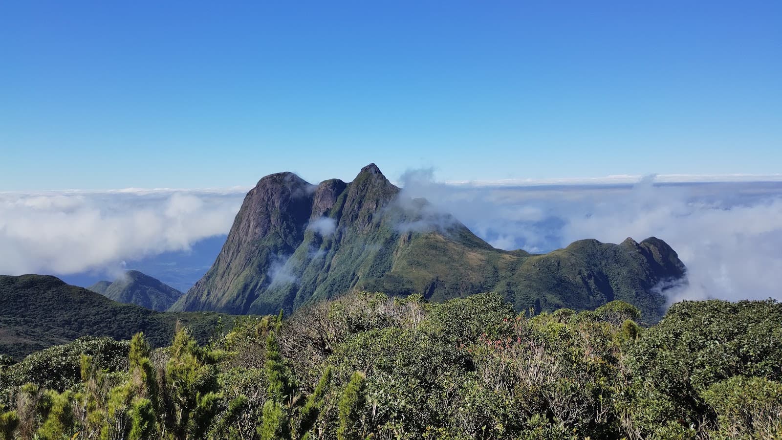 Pico do Parrot - Image 1