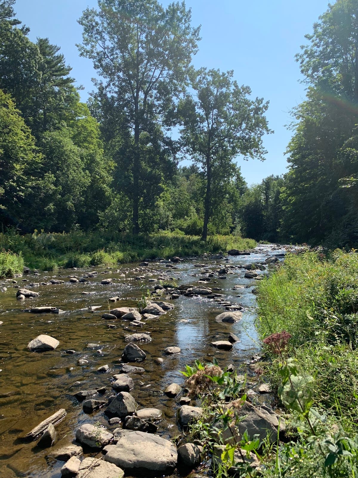 LaPlatte River Nature Park - Image 1