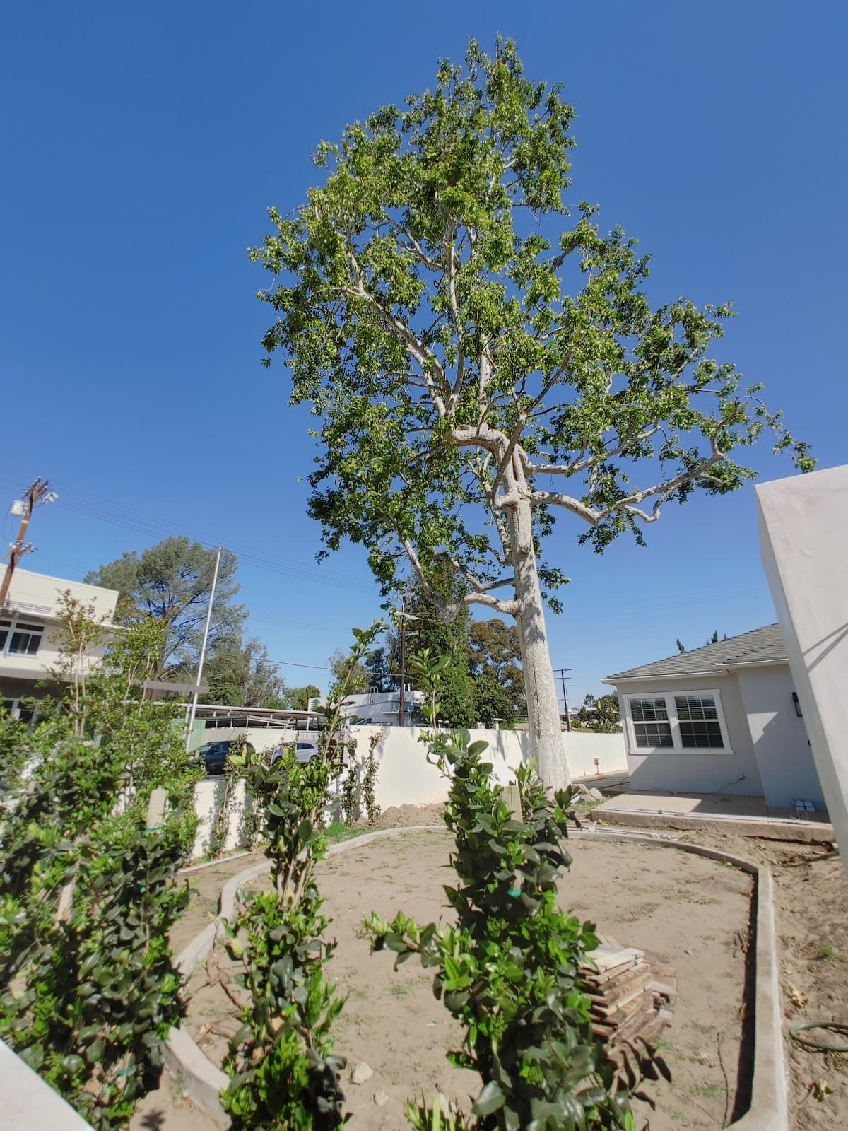 Atwater Village, Los Angeles, CA - Image 1