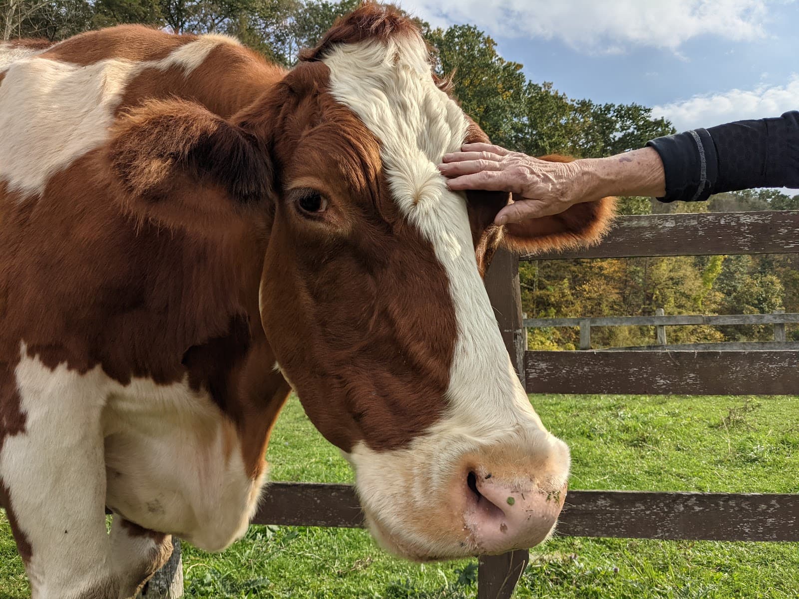 Catskill Animal Sanctuary - Image 1