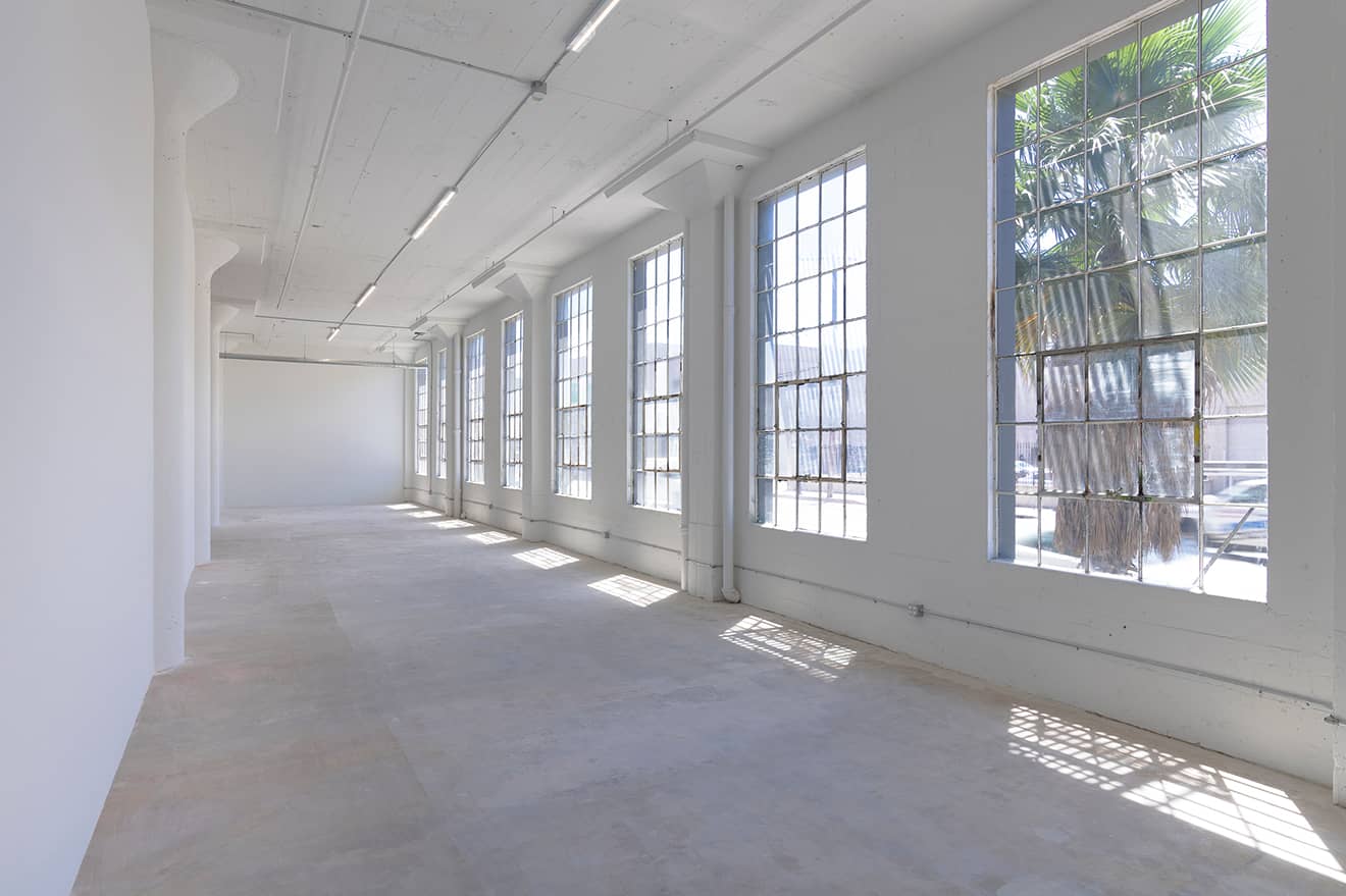 Special Exhibition Openings