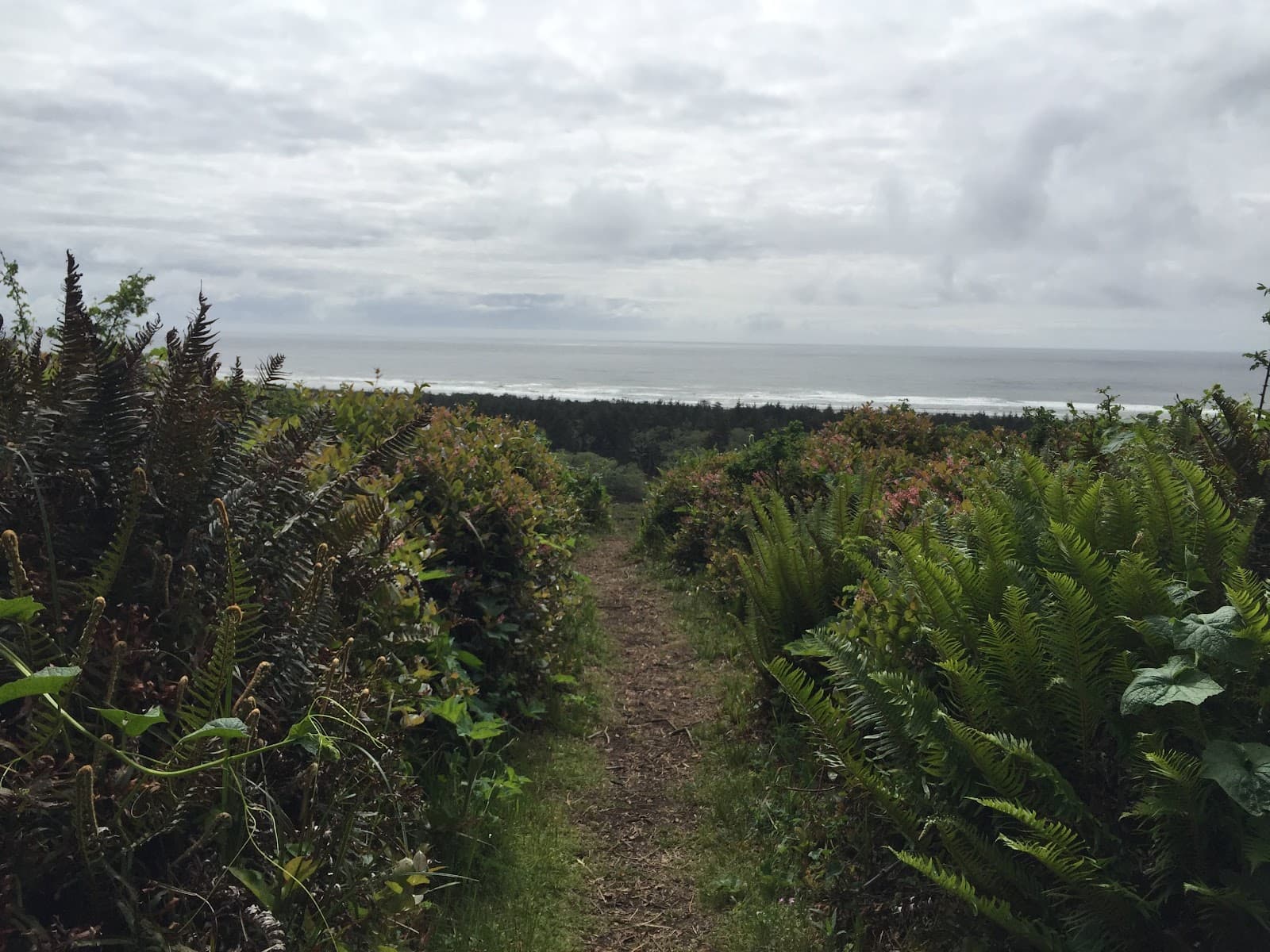 McKenzie Head & Battery 247 - Image 1
