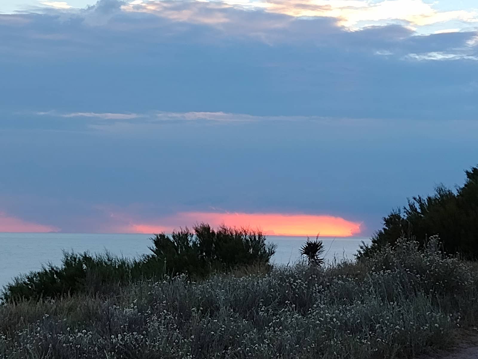 Natural Wildlife Encounters