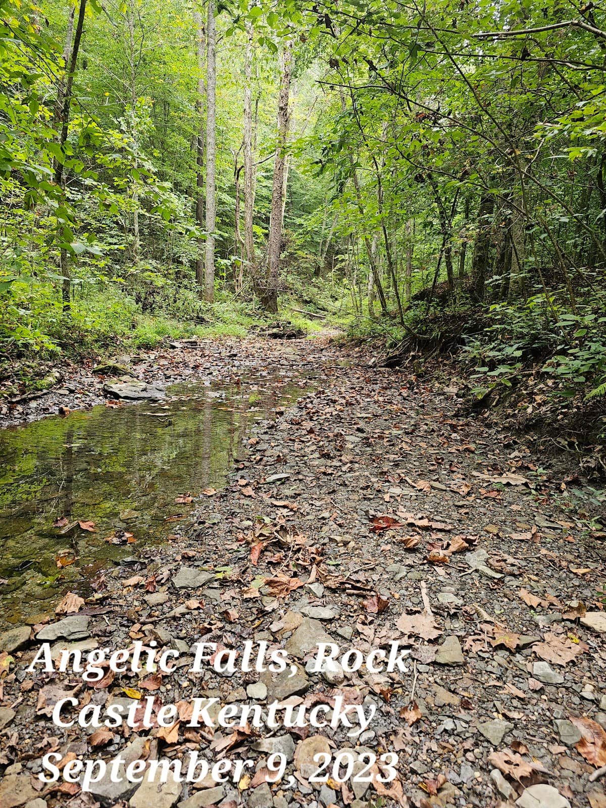 Rocky Ascent to the Falls