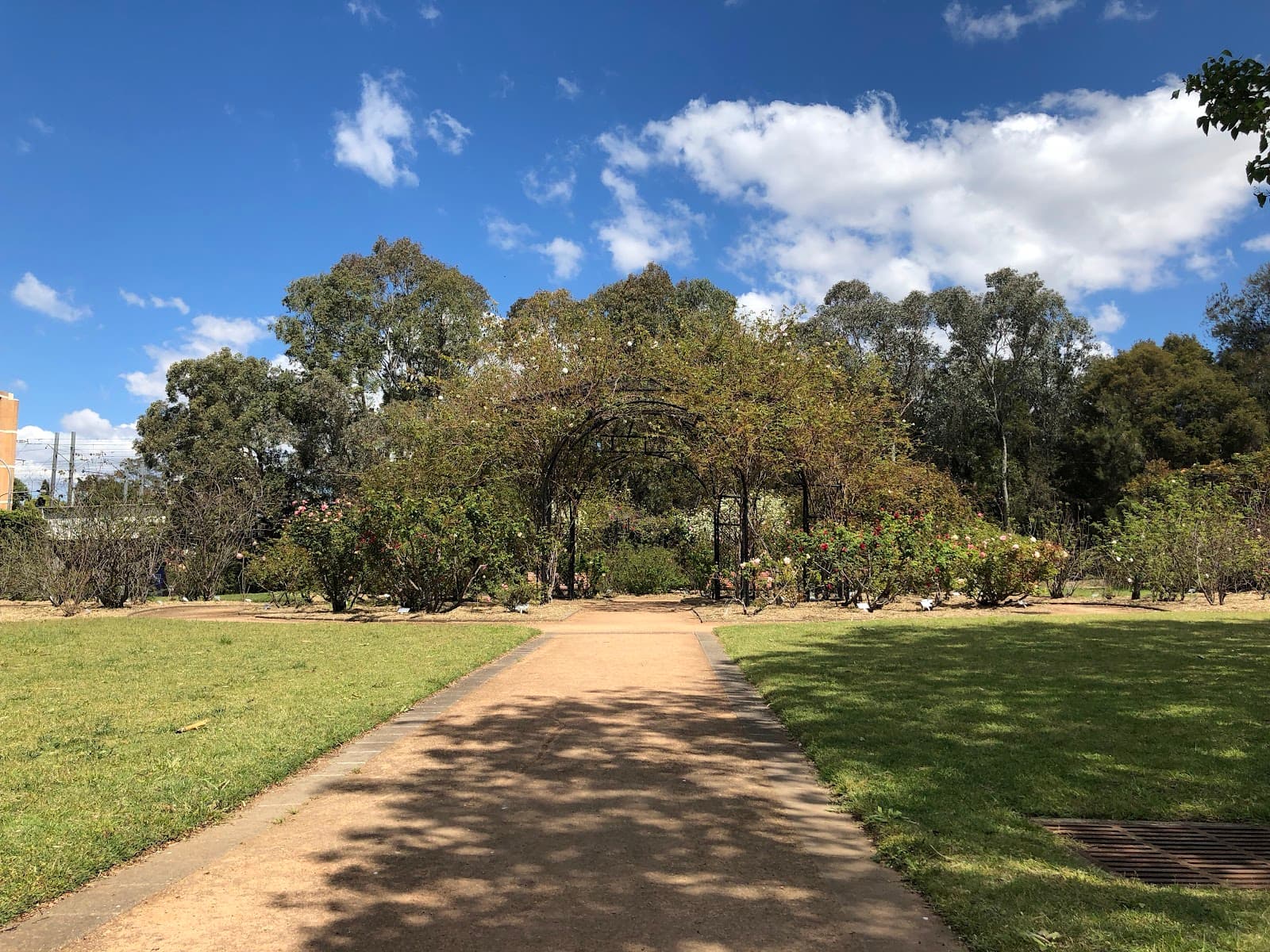 Rumsey Rose Garden - Image 1