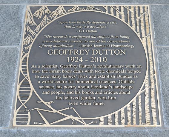 Discovery Walk - Image 1