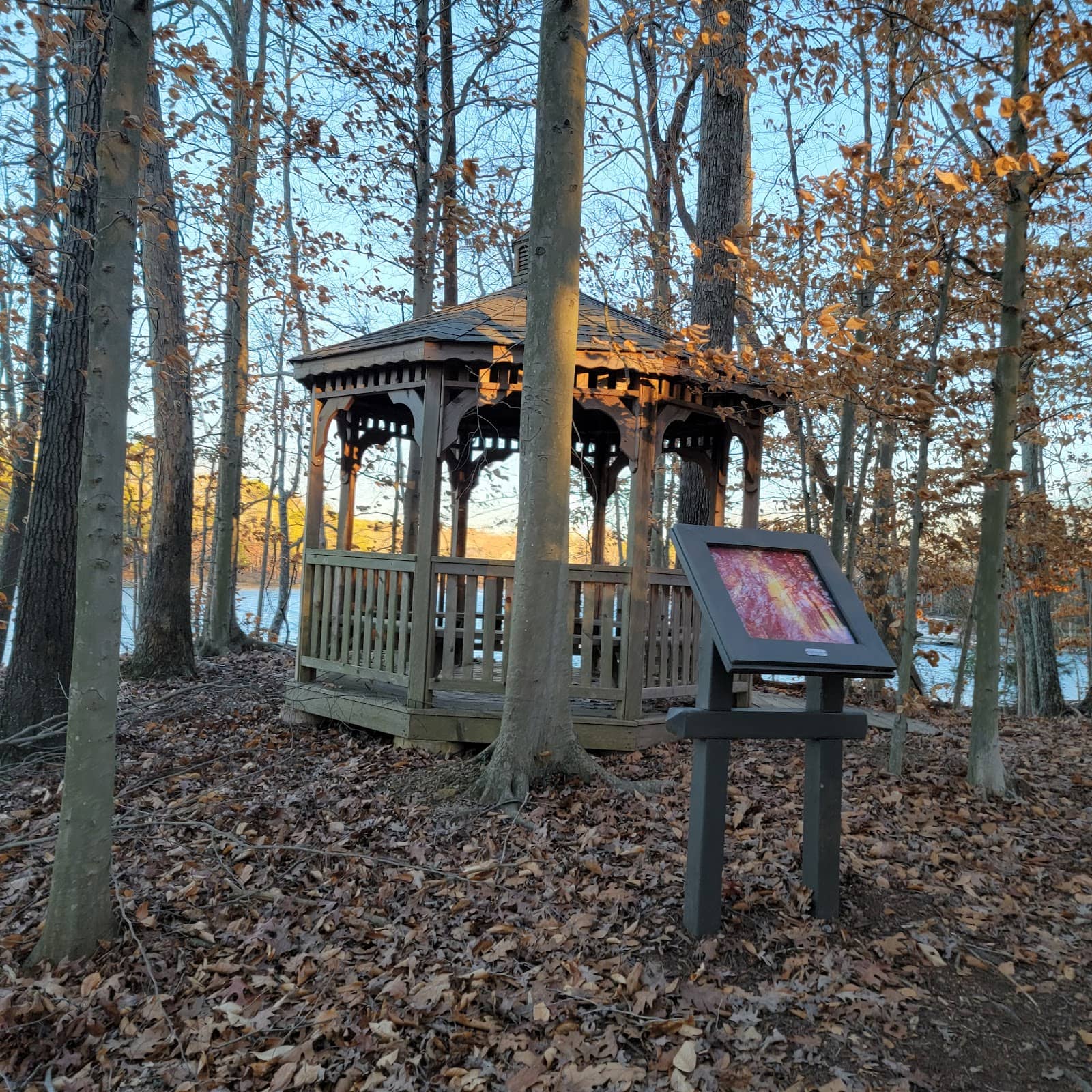 Wooded Walking Paths