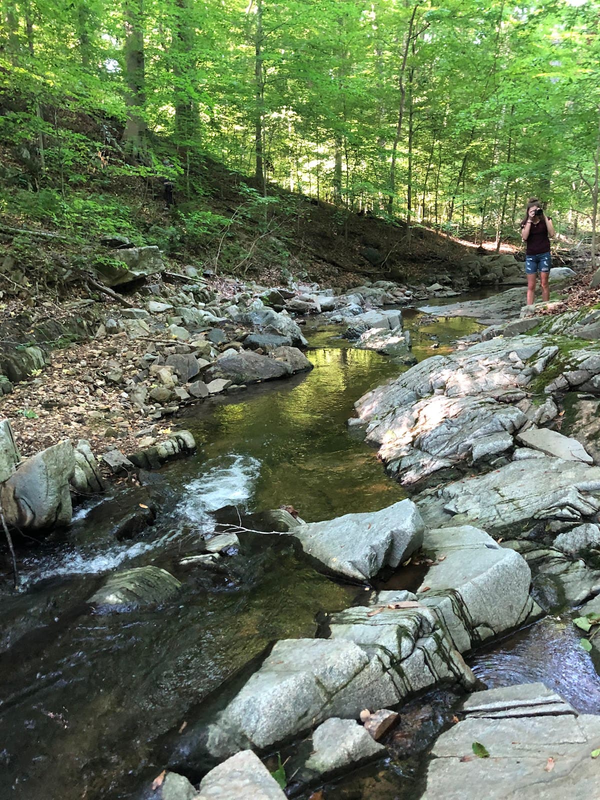 Langley Oaks Park - Image 1