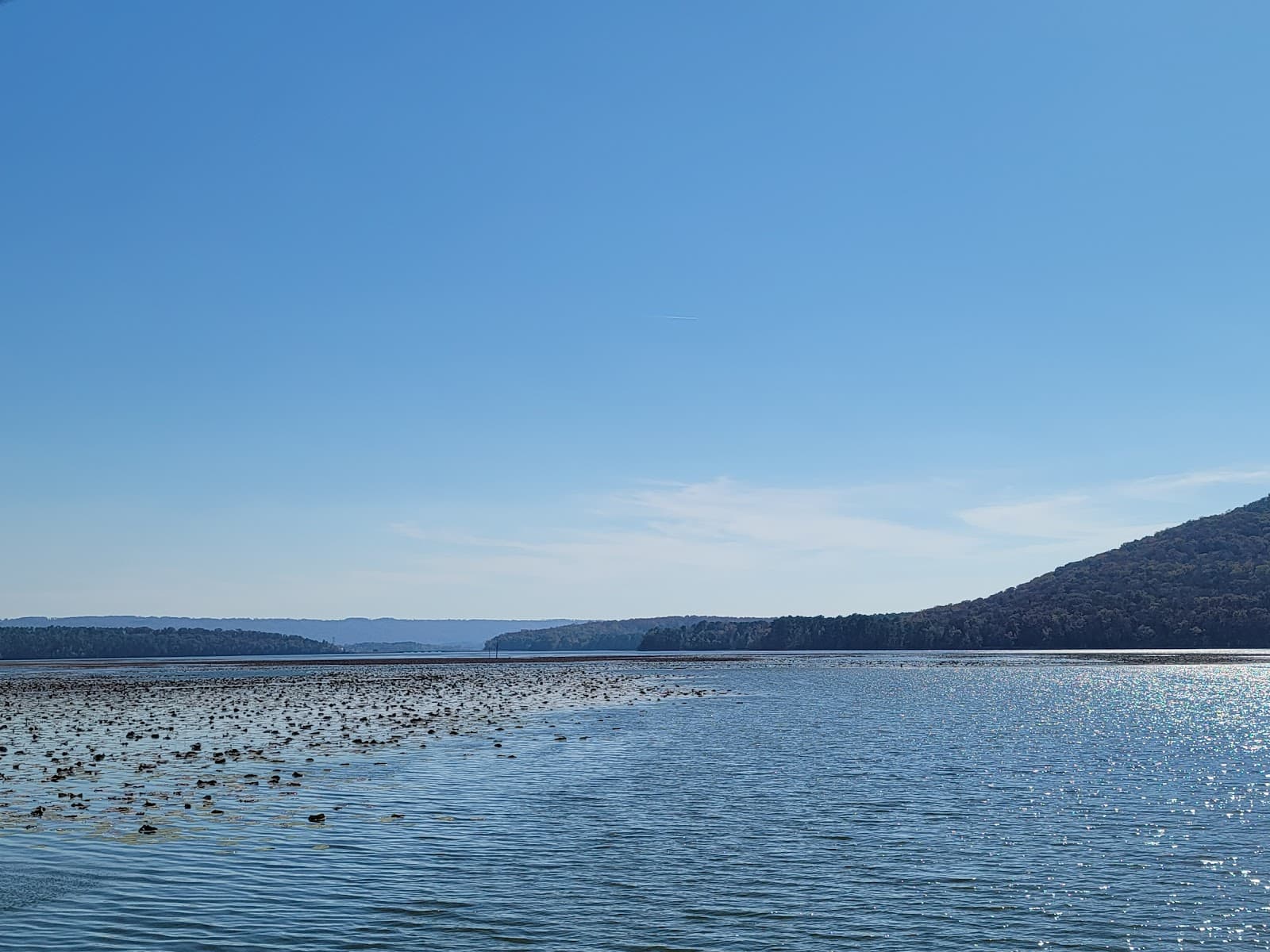 North Sauty Creek WMA - Image 1