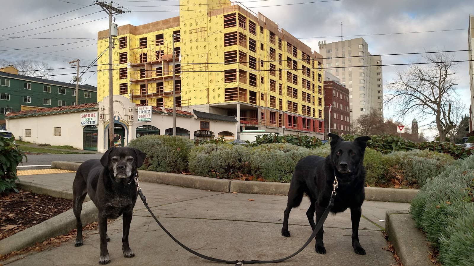 Stadium District Dining