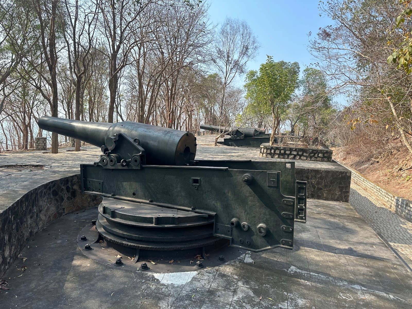 Colonial History Insights