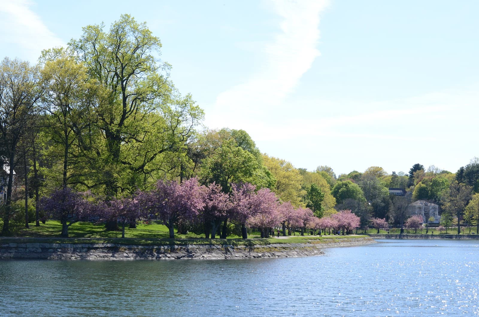 Brookline Reservoir Park - Image 1