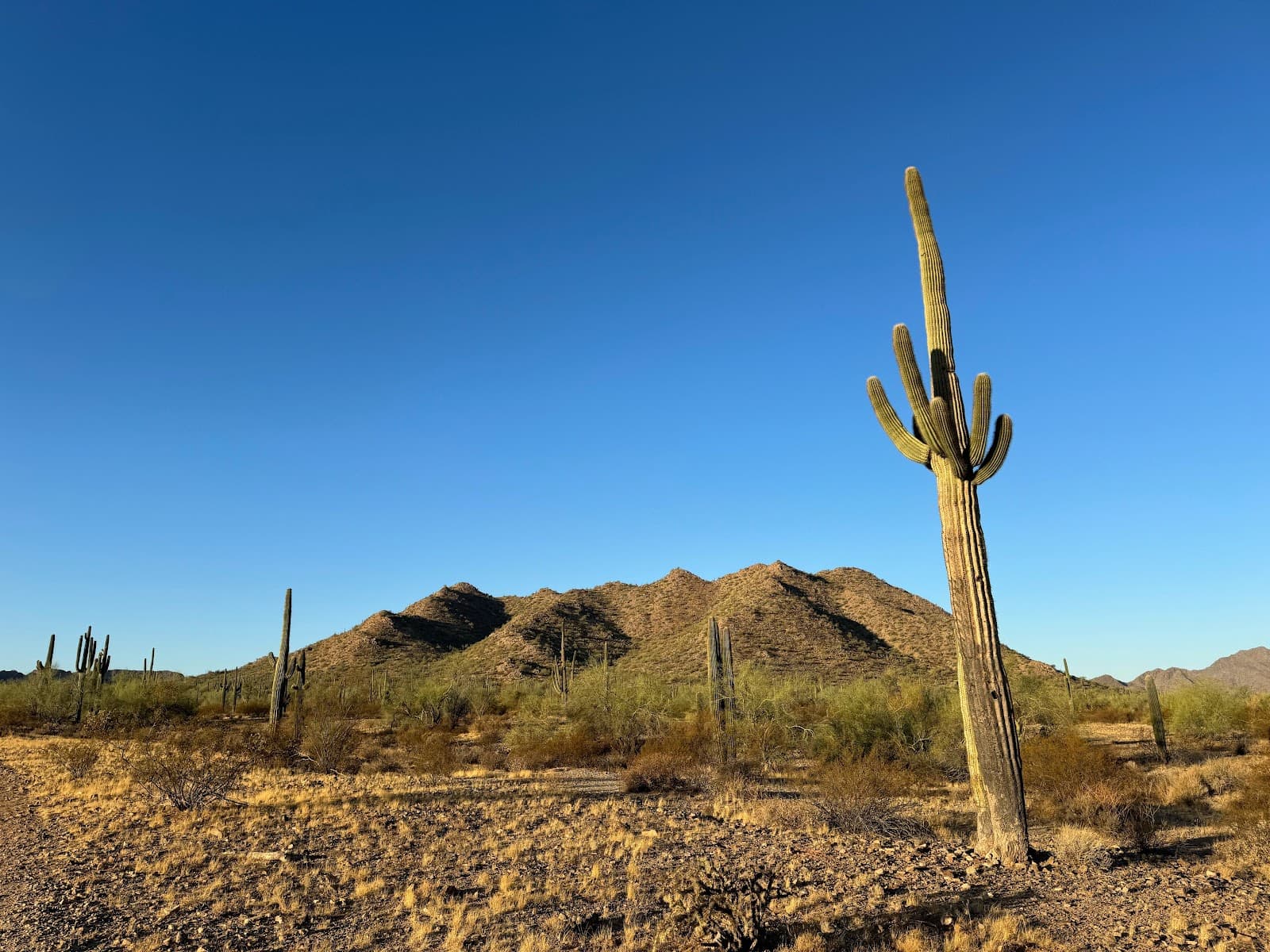 San Tan Trailhead - Image 1