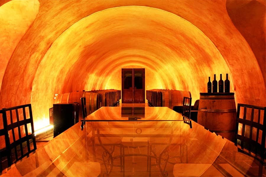 Scenic Vineyard Walks