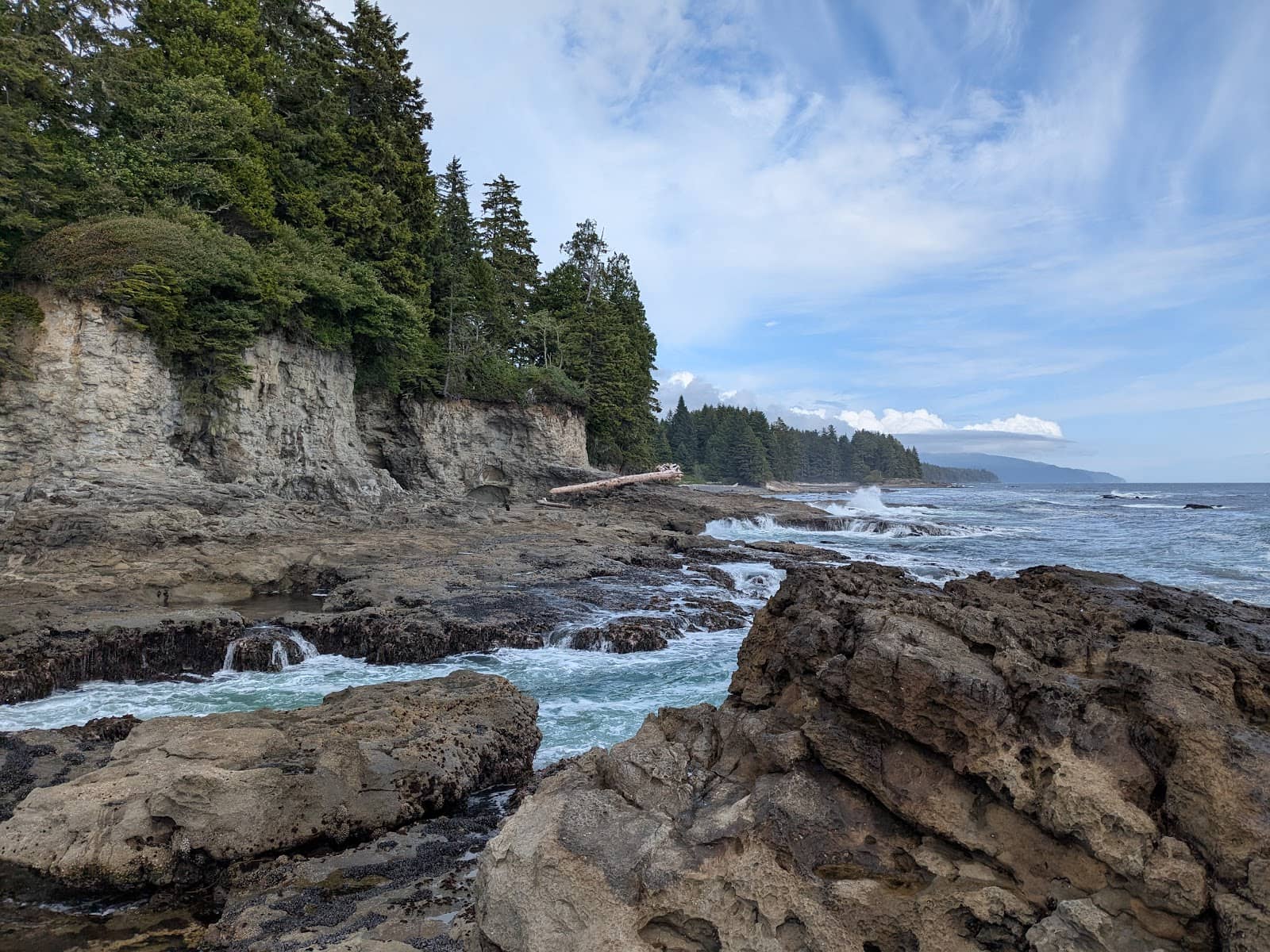 Coastal Forest Trail