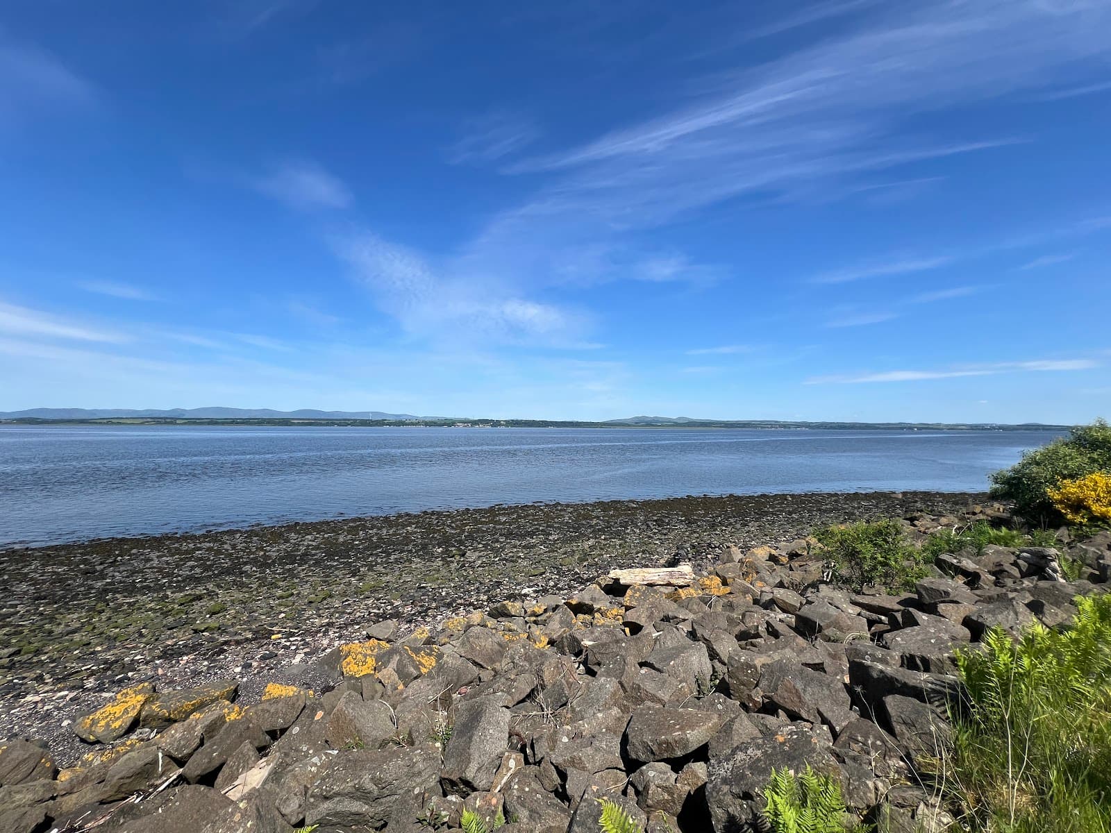 Kinneil Local Nature Reserve & Foreshore - Image 1