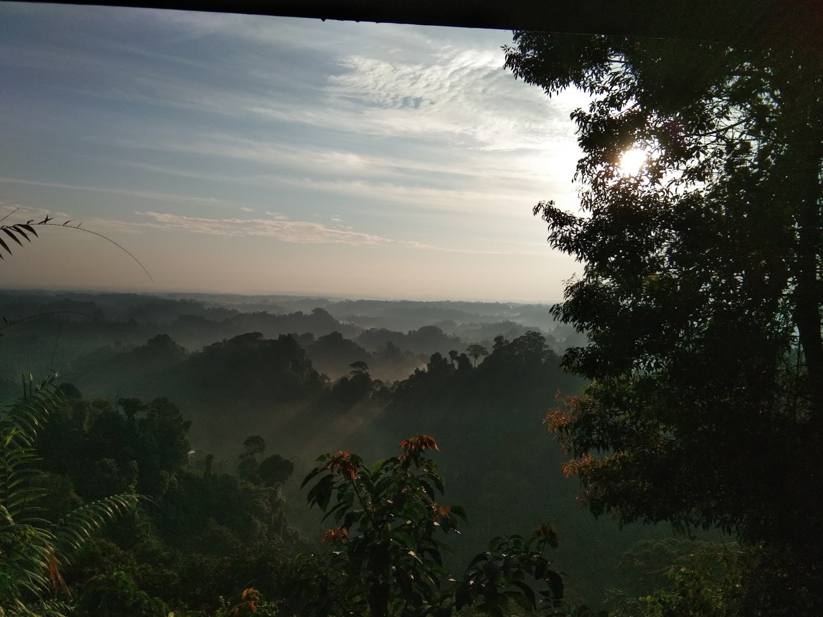 Sibolangit Botanical Garden - Image 1