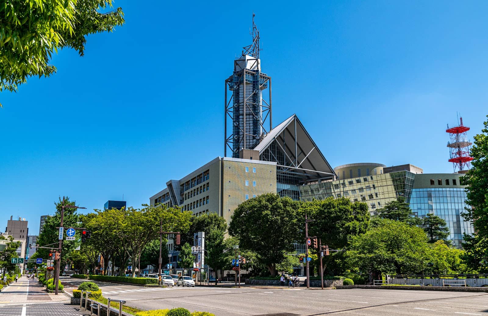Riverside Cherry Blossoms