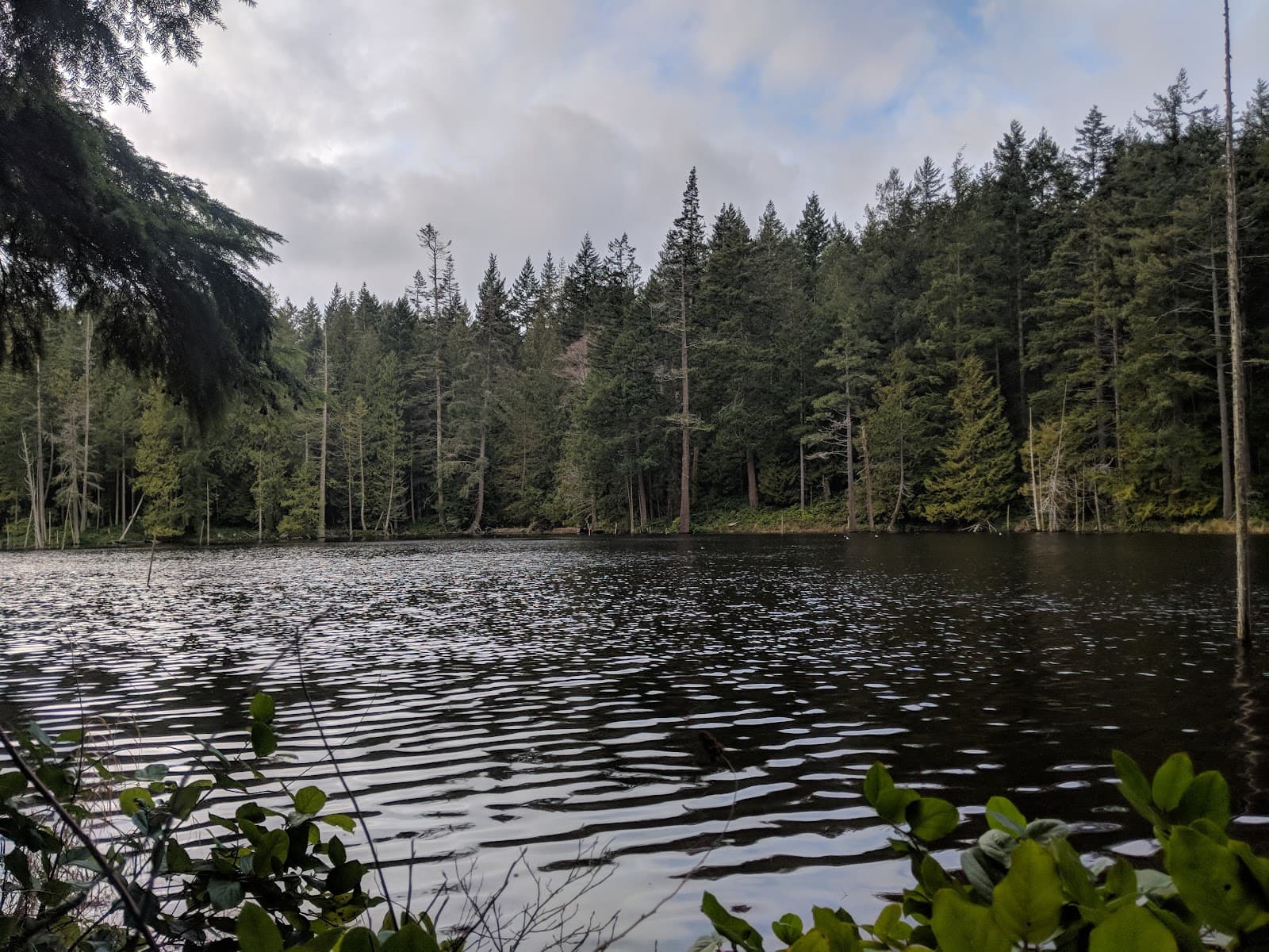 Anacortes Community Forest Lands - Image 1