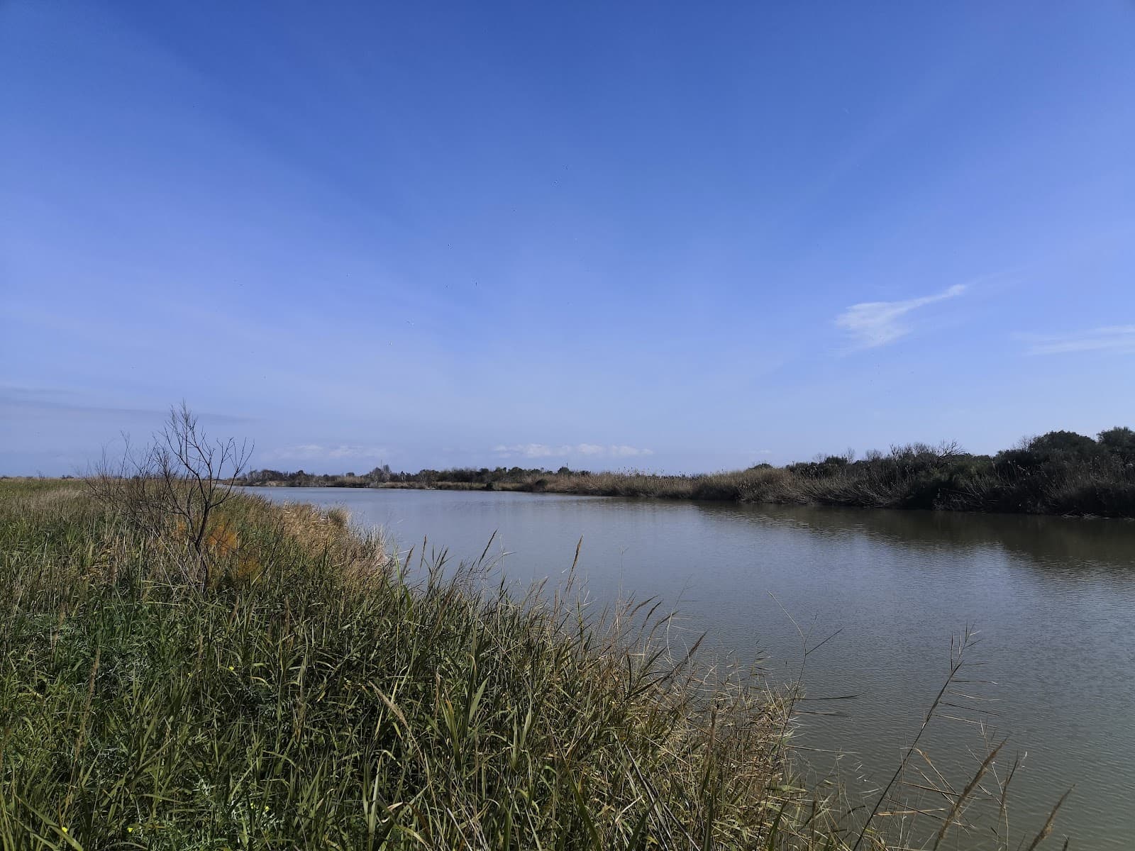 Oasi del Simeto Nature Reserve - Image 1