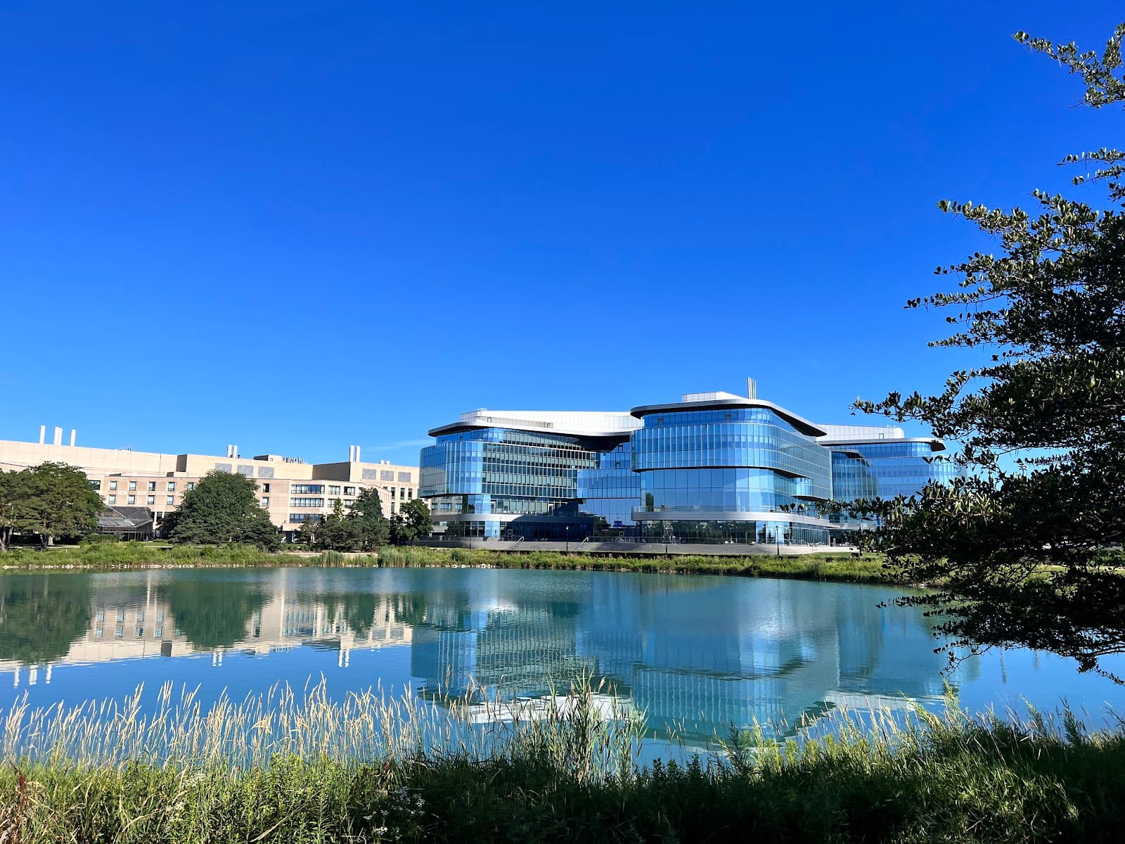 Northwestern University - Image 1