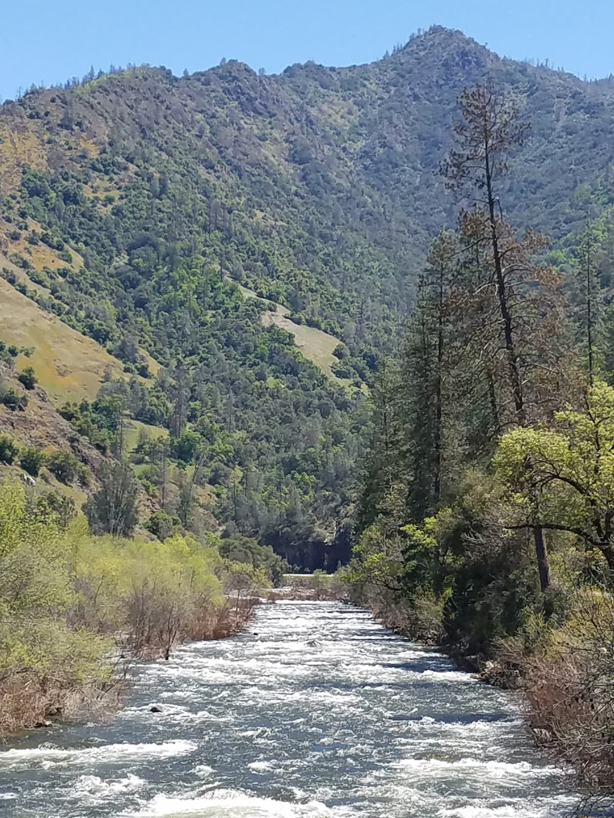 Merced River Trail El Portal - Image 1