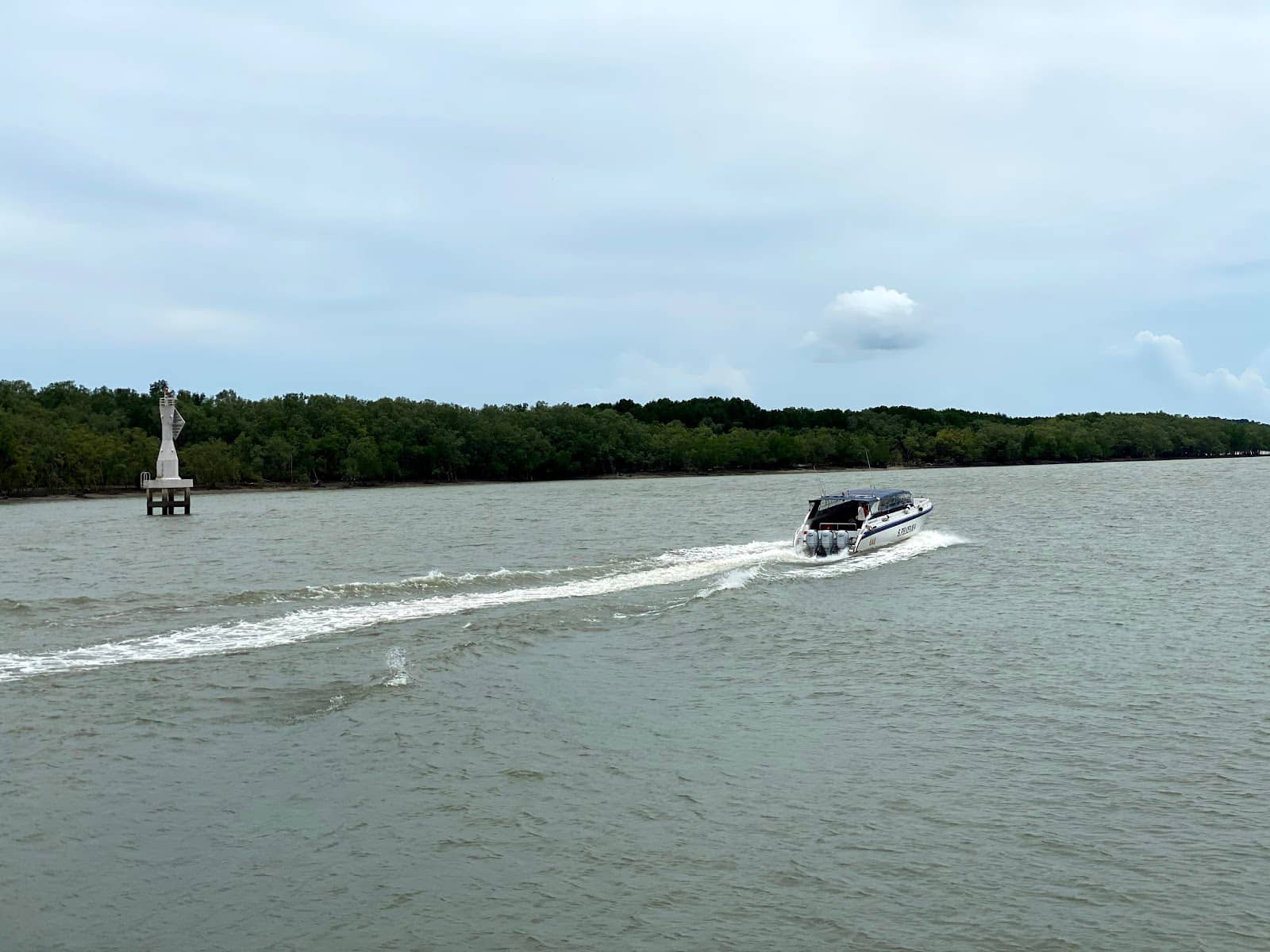 Fisherman's Pier Activity