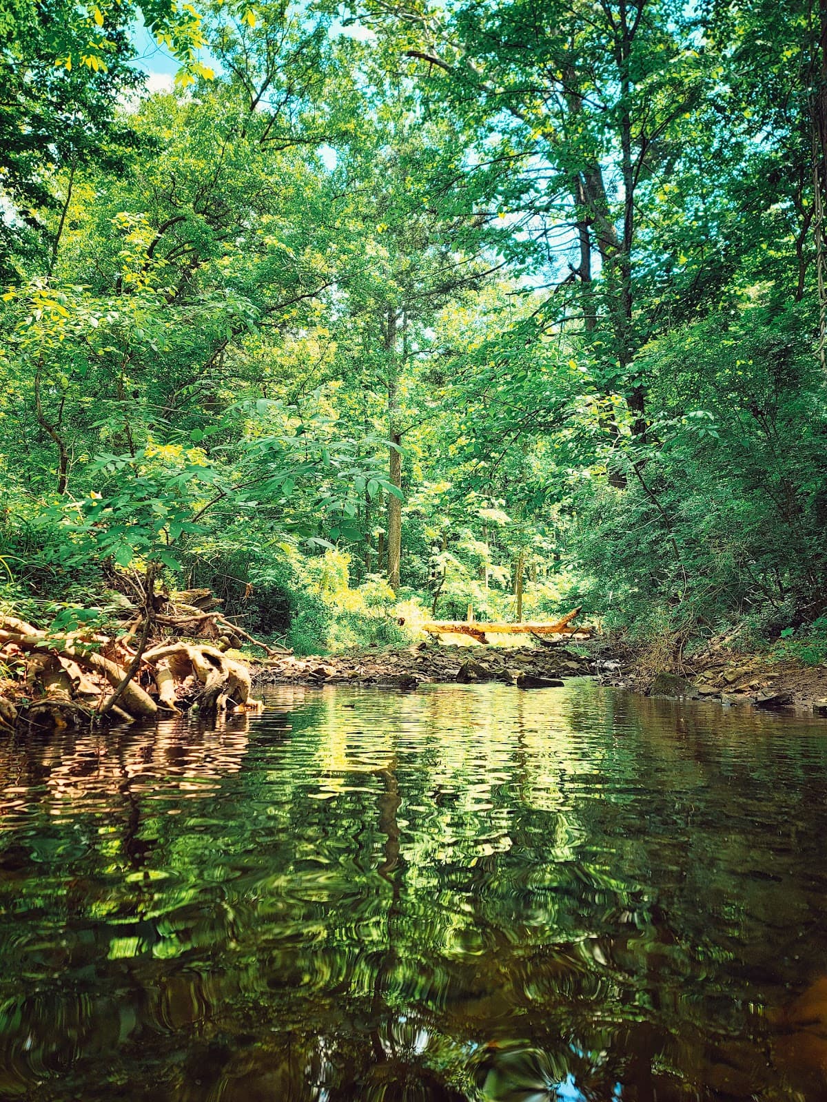 Yellow Breeches Creek - Image 1