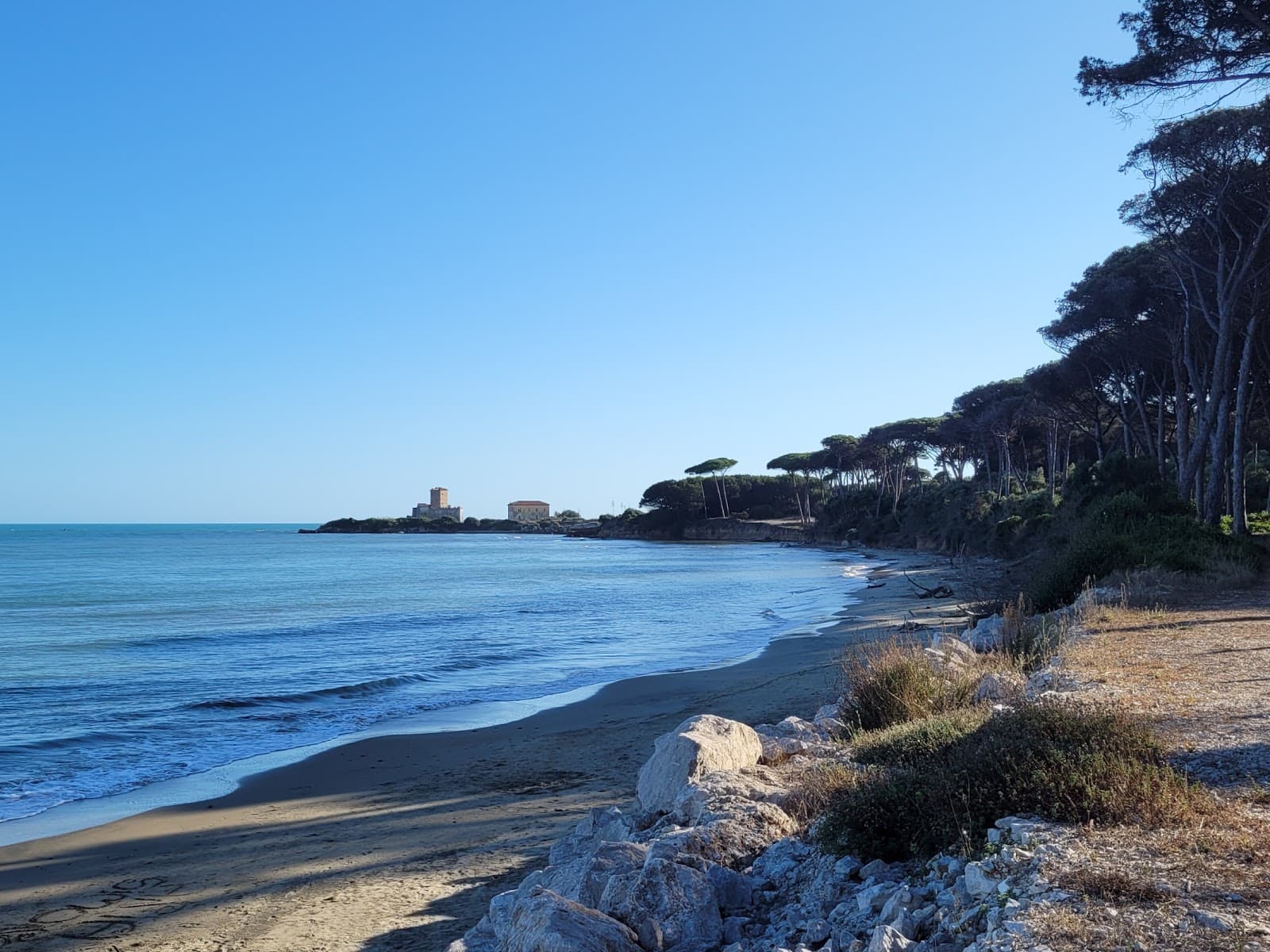 Pineta di Torre Astura - Image 1