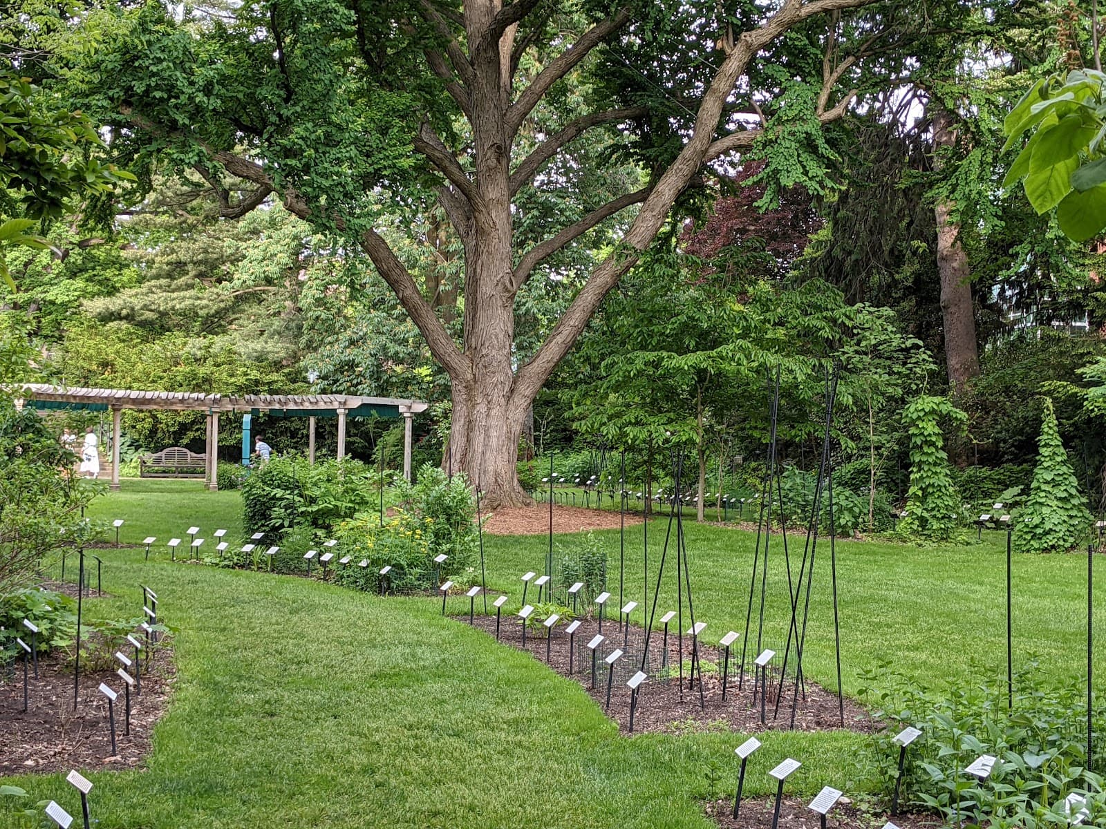 W.J. Beal Botanical Garden - Image 1