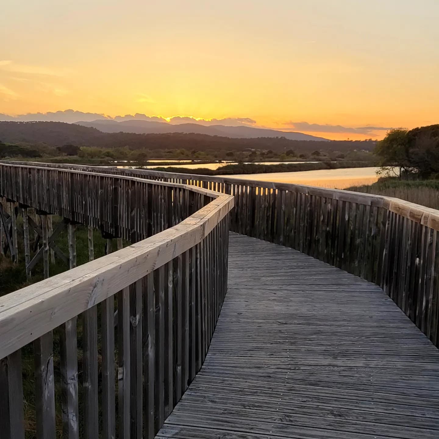 Étangs de Villepey - Image 1