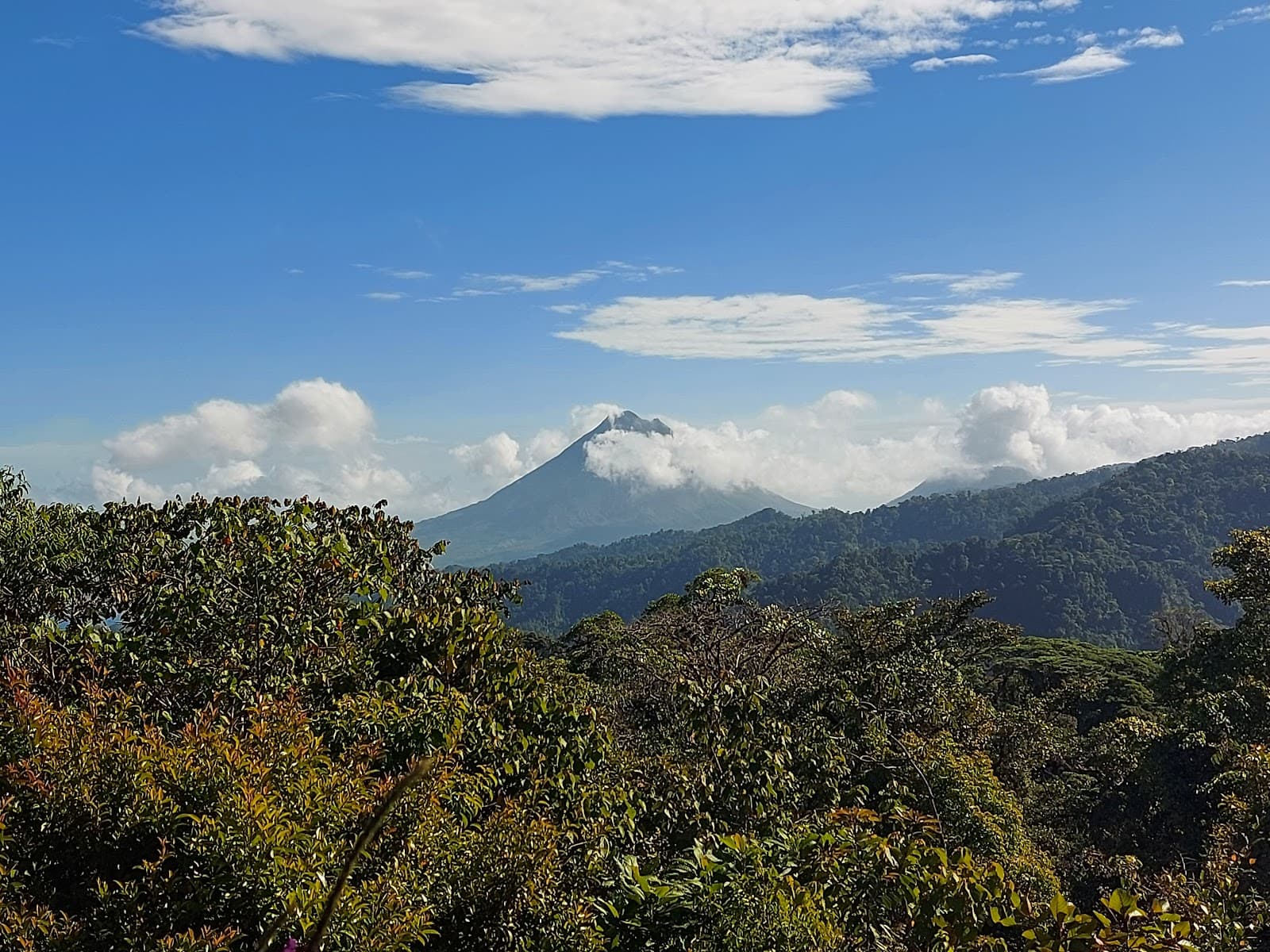 Children's Eternal Rainforest Monteverde - Image 1