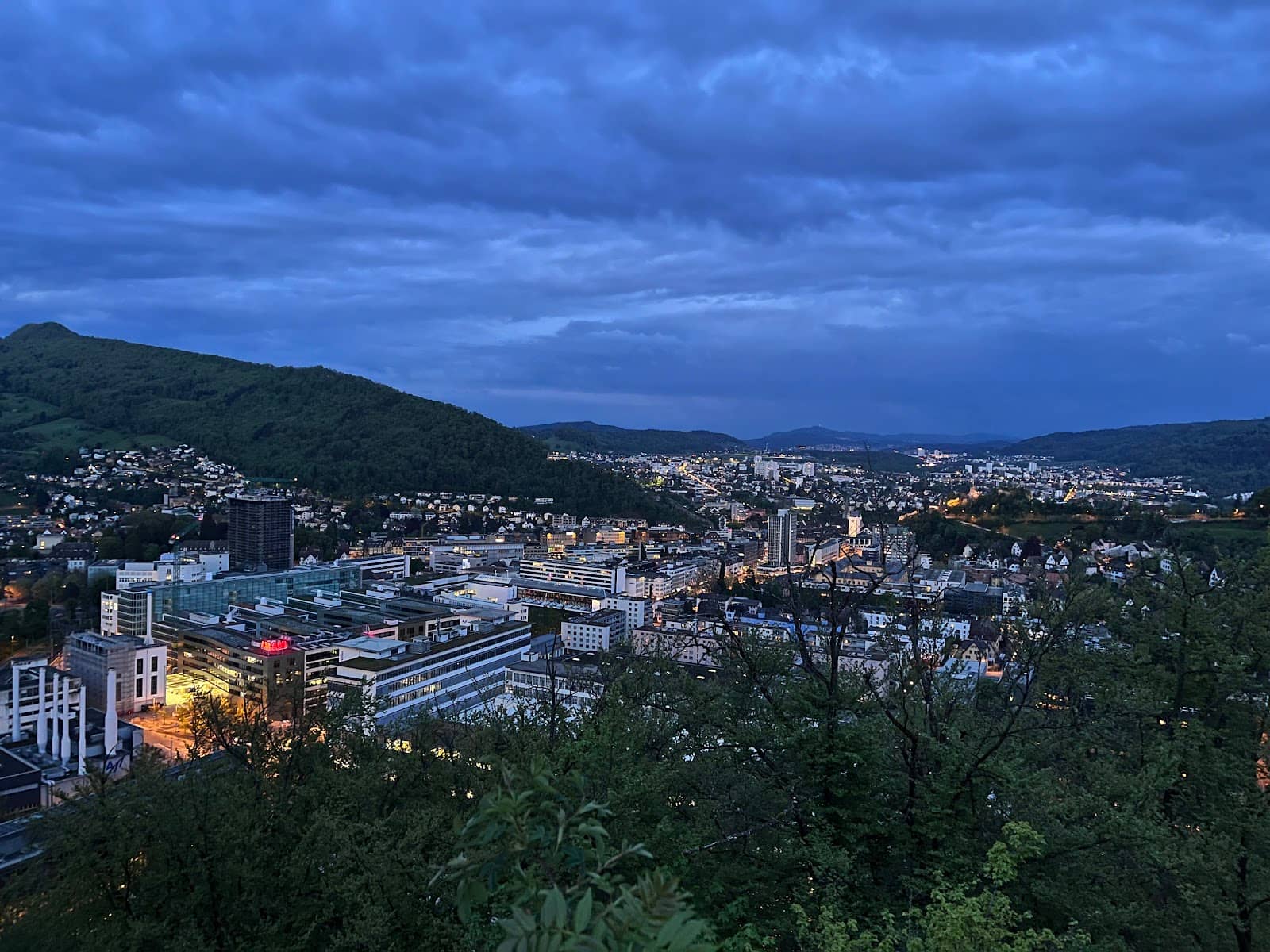 Tranquil Forest Setting