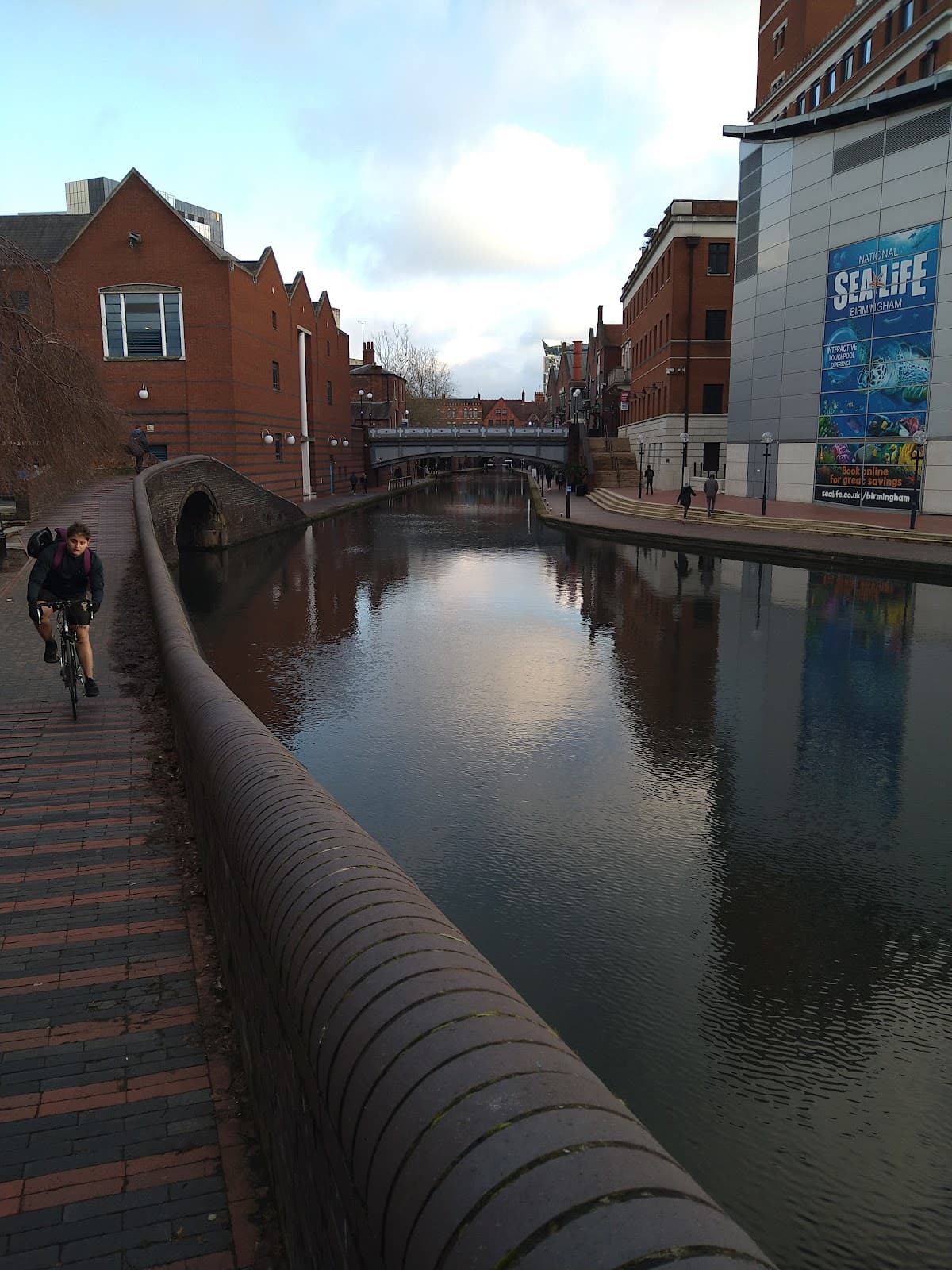 Wednesbury Old Canal and Ryders Green Locks - Image 1