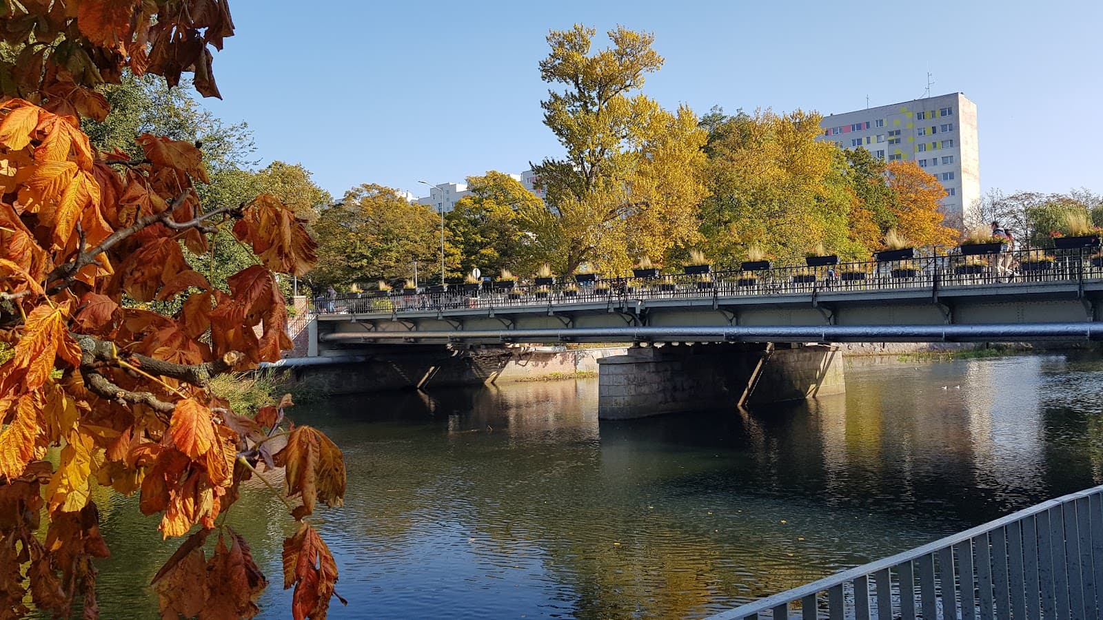 Parsęta Footbridge - Image 1