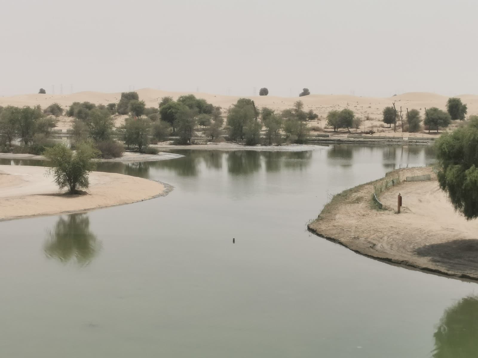 Al Marmoom Desert Conservation Reserve Dubai - Image 1