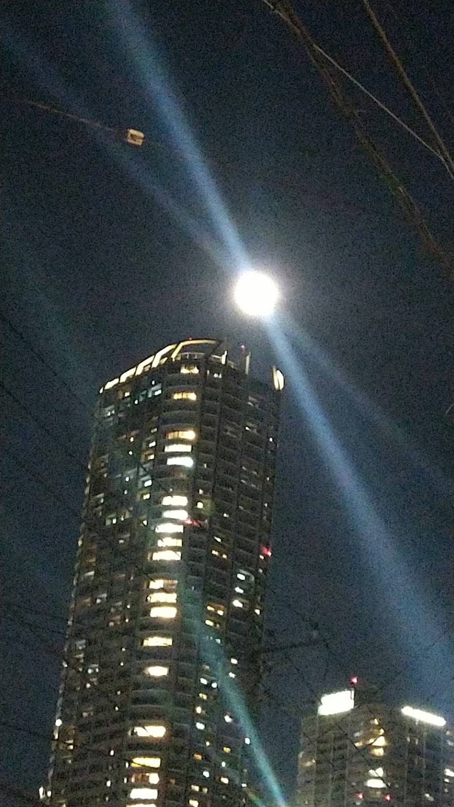 Grand Tree Musashikosugi