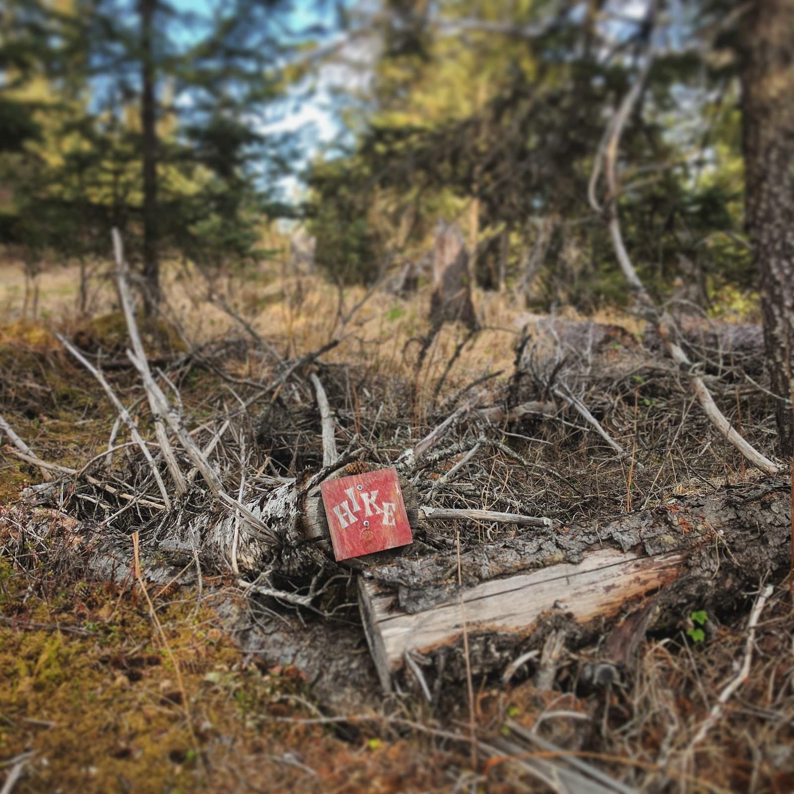 Calvin & Coyle Nature Trail - Image 1