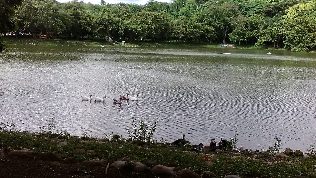 Parque Mirador Norte - Image 1