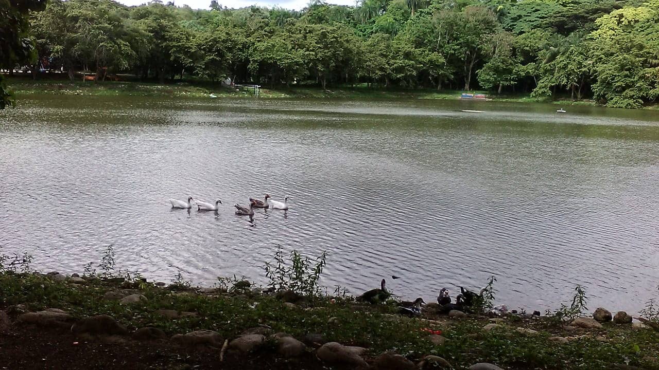 Green Spaces and Playgrounds