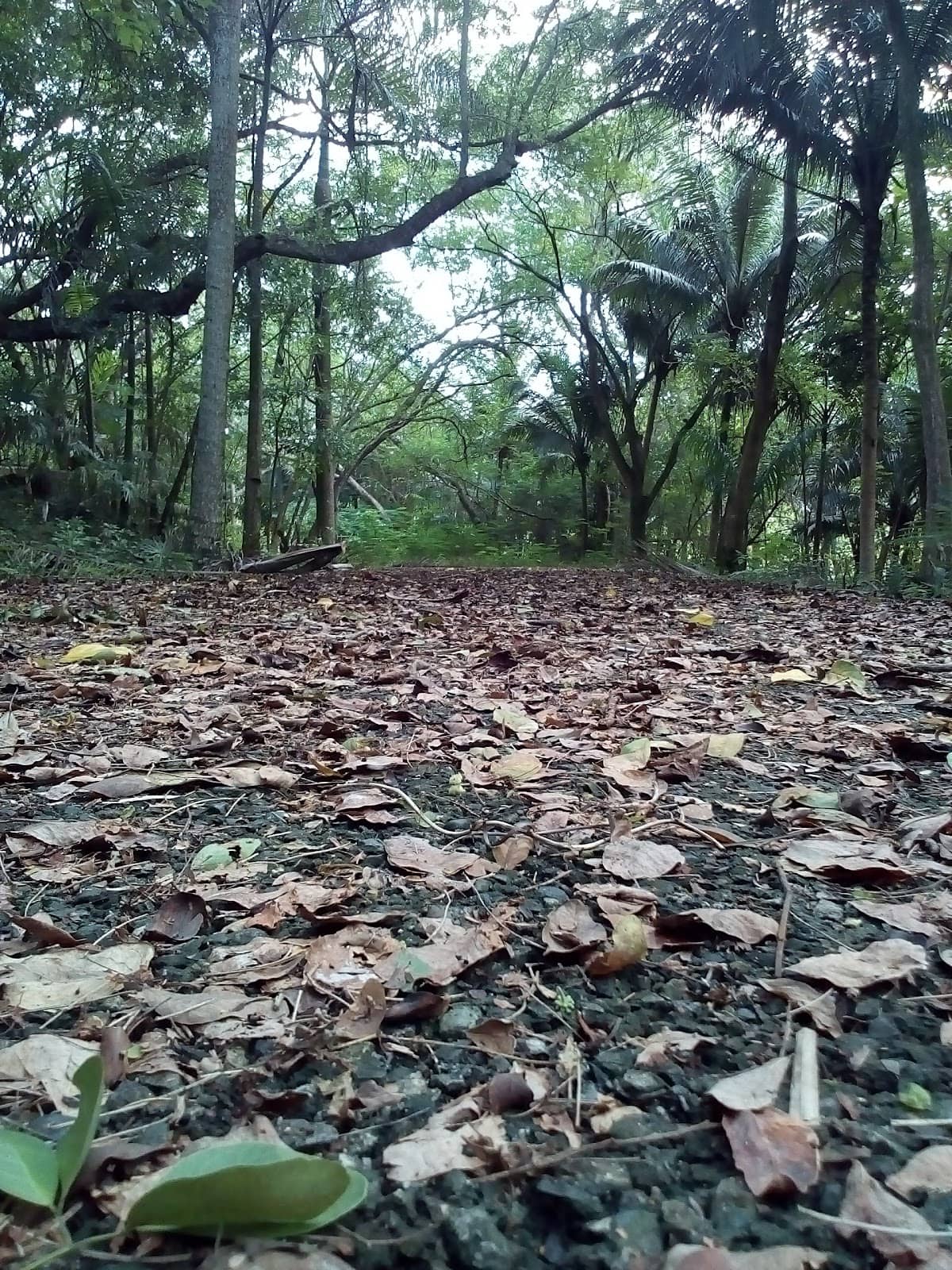 Vertical photo