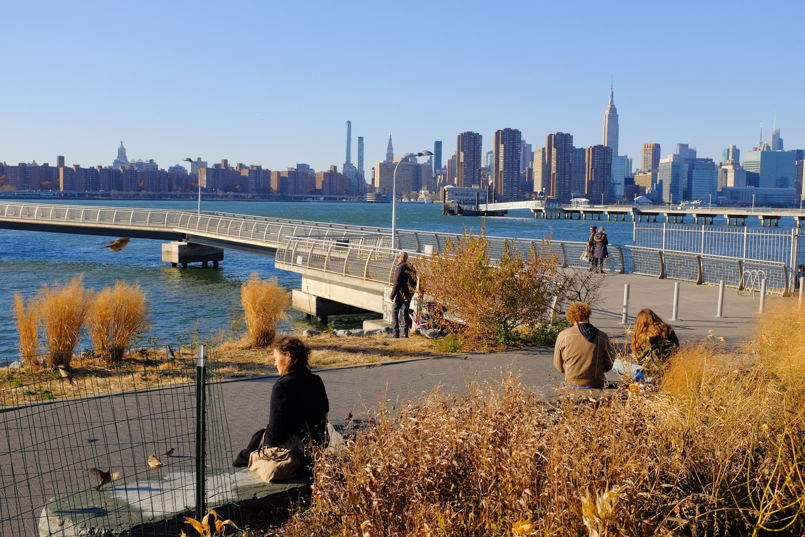 WNYC Transmitter Park Brooklyn - Image 1