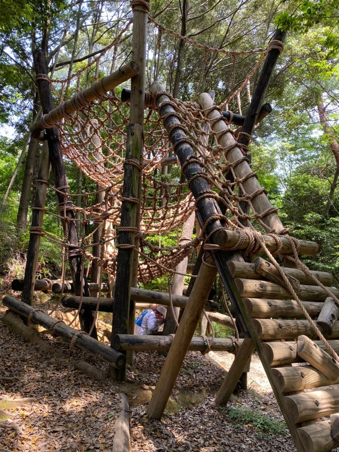 Hamakita Forest Park - Image 1