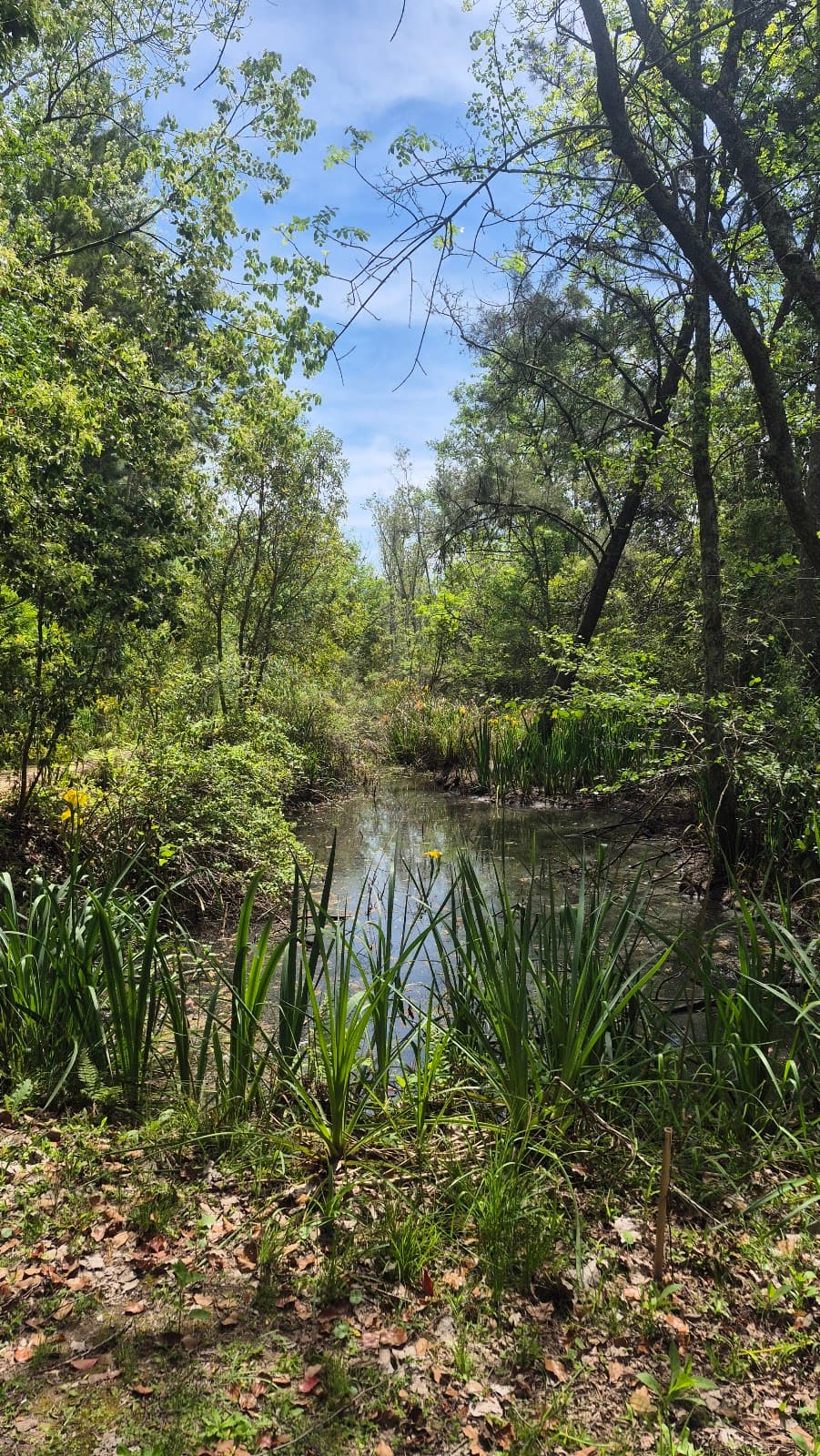 Delta Terra Reserve - Image 1