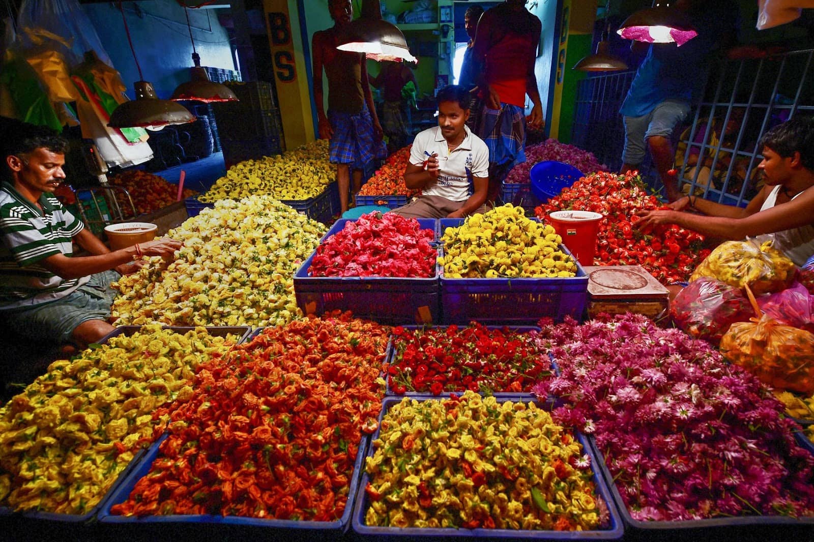 Fresh Vegetable Selection