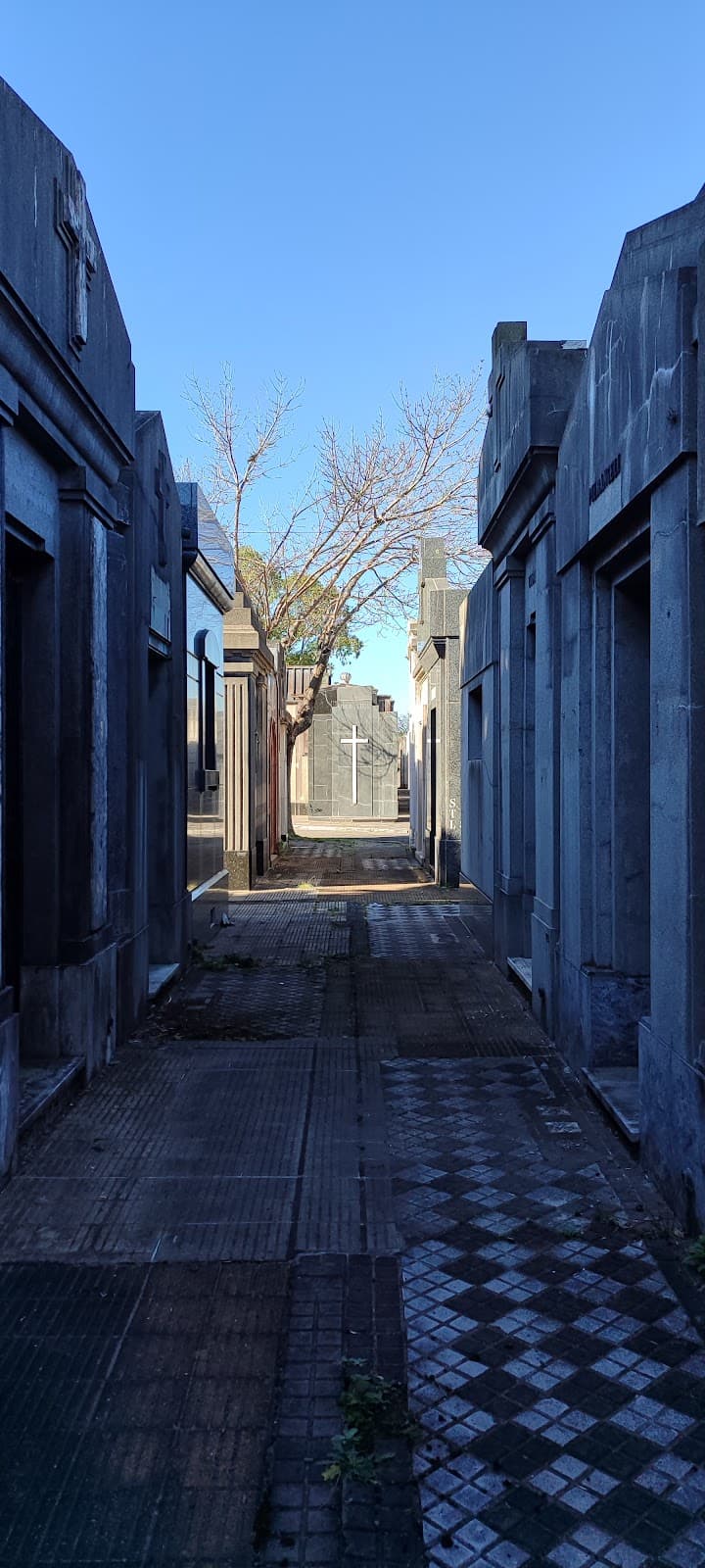 Cementerio de Olivos - Image 1