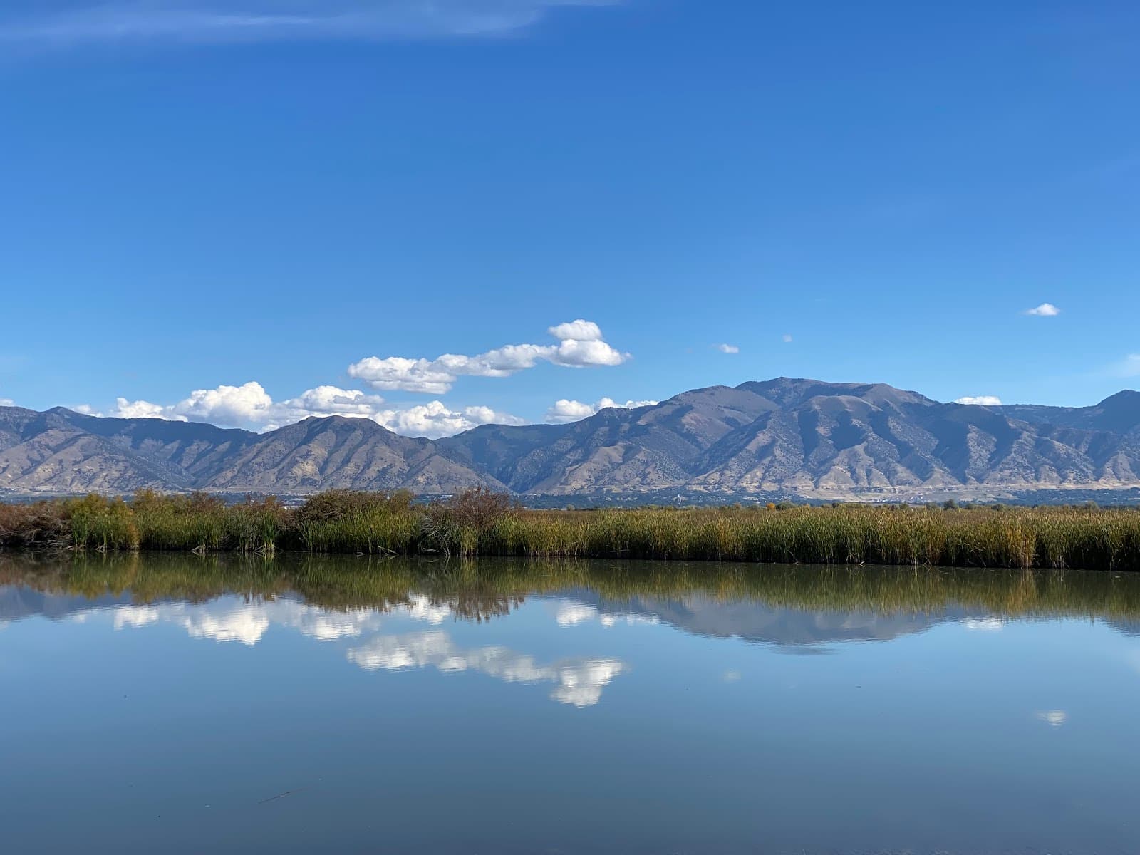 Cutler Marsh & Bear River Oxbow - Image 1
