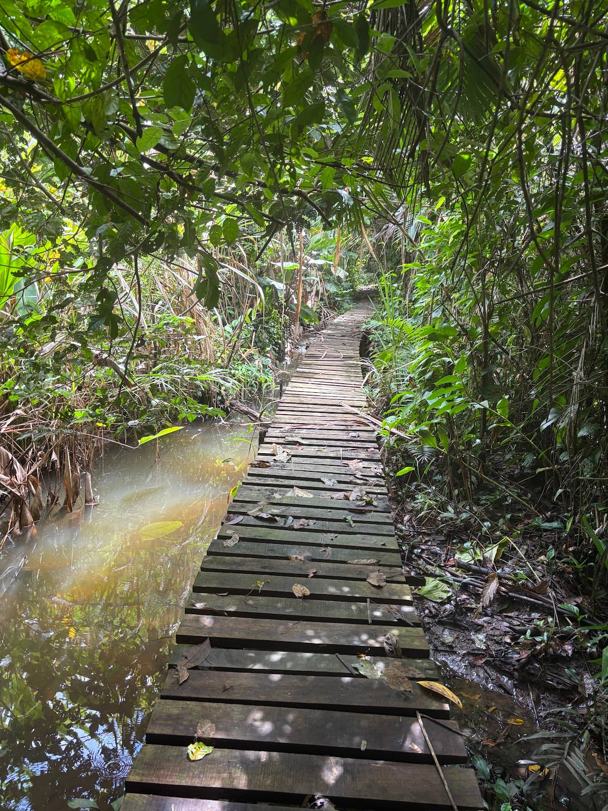 Birdwatching Paradise