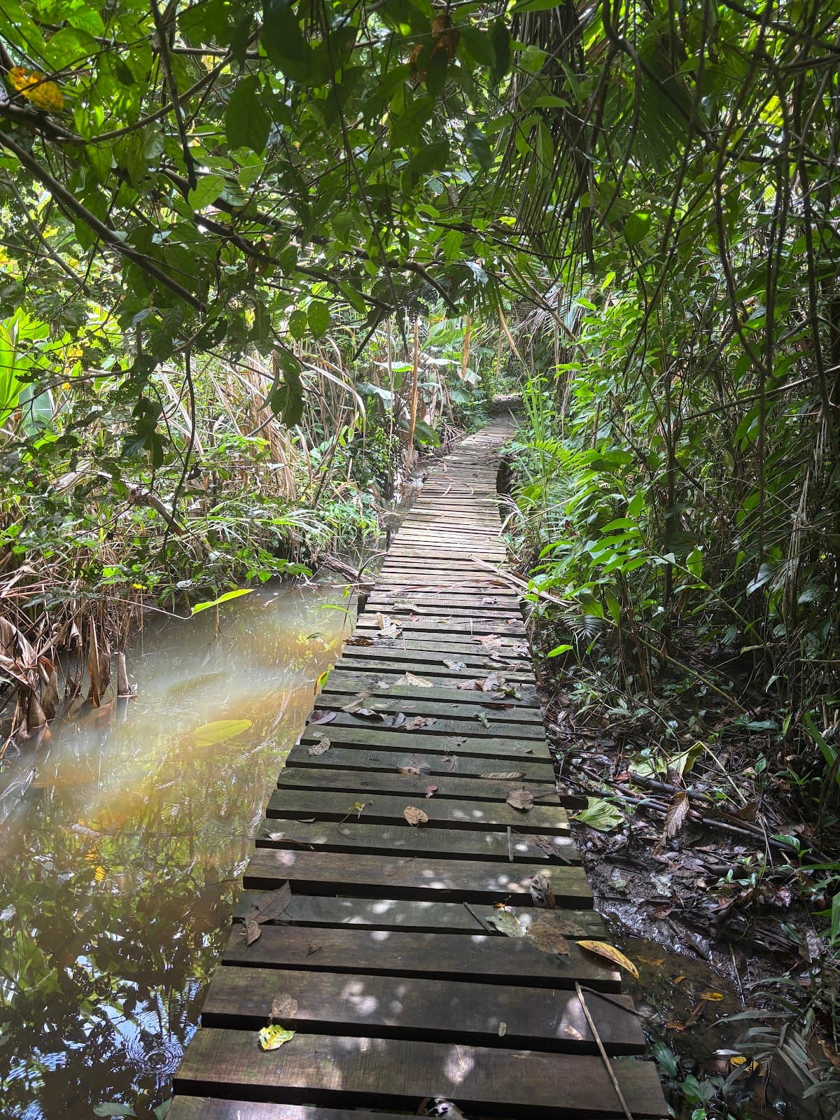 Hacienda Barú National Wildlife Refuge - Image 1