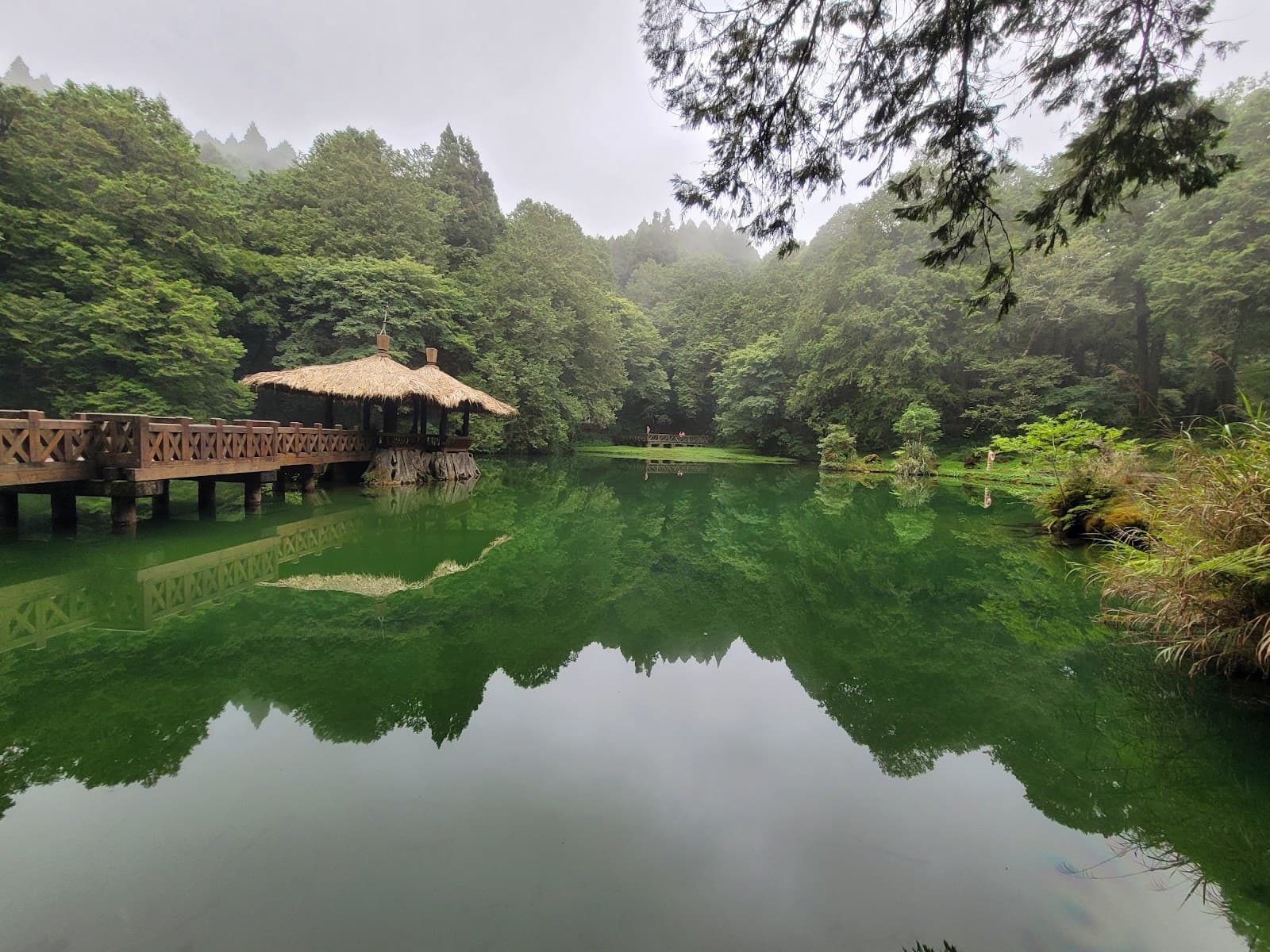 Sister Ponds Alishan National Forest Recreation Area - Image 1